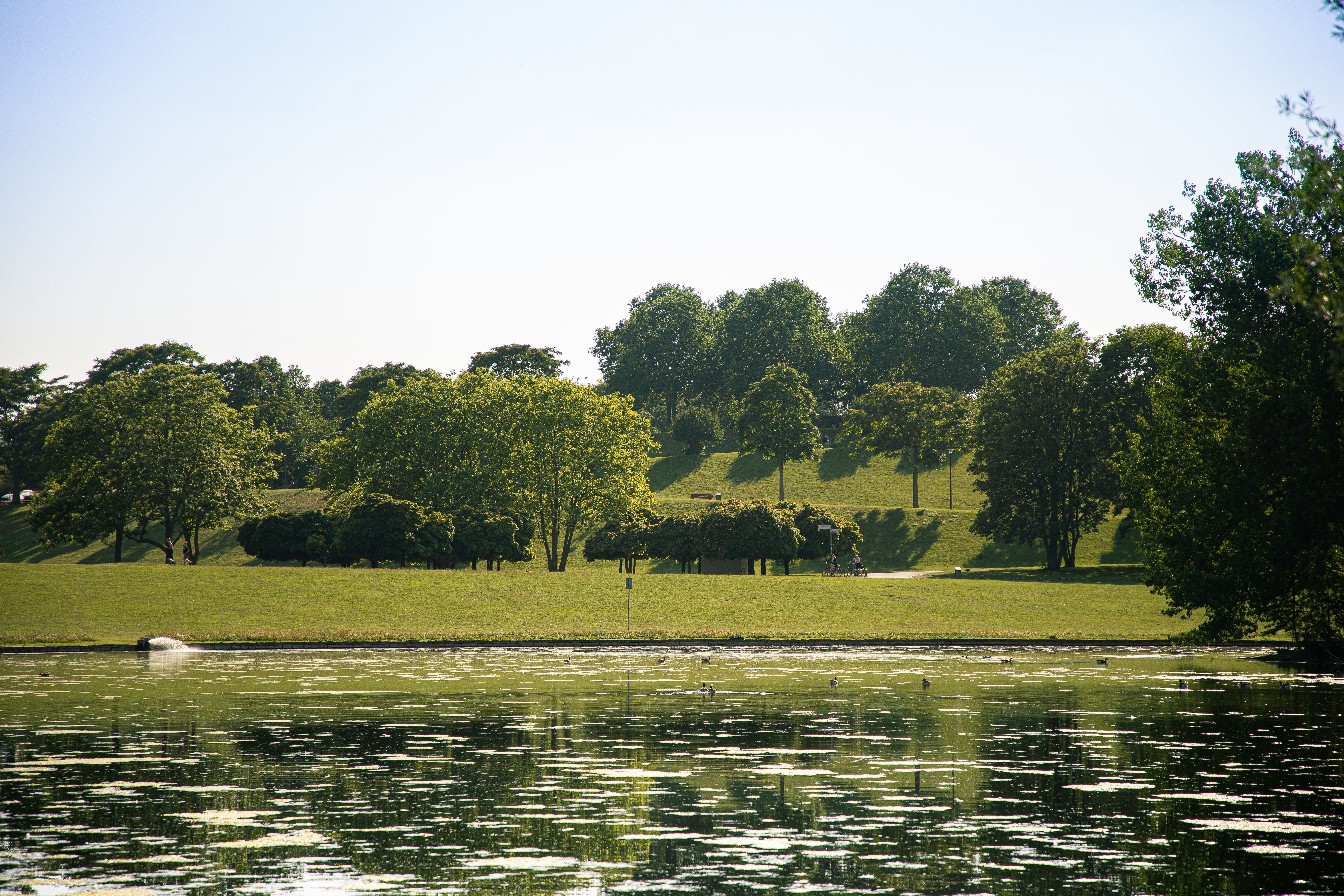 Der 15 Hektar große Auensee gehört seit der Entstehung des Freizeitparks Rheinaue zu gefragtesten Anziehungspunkten