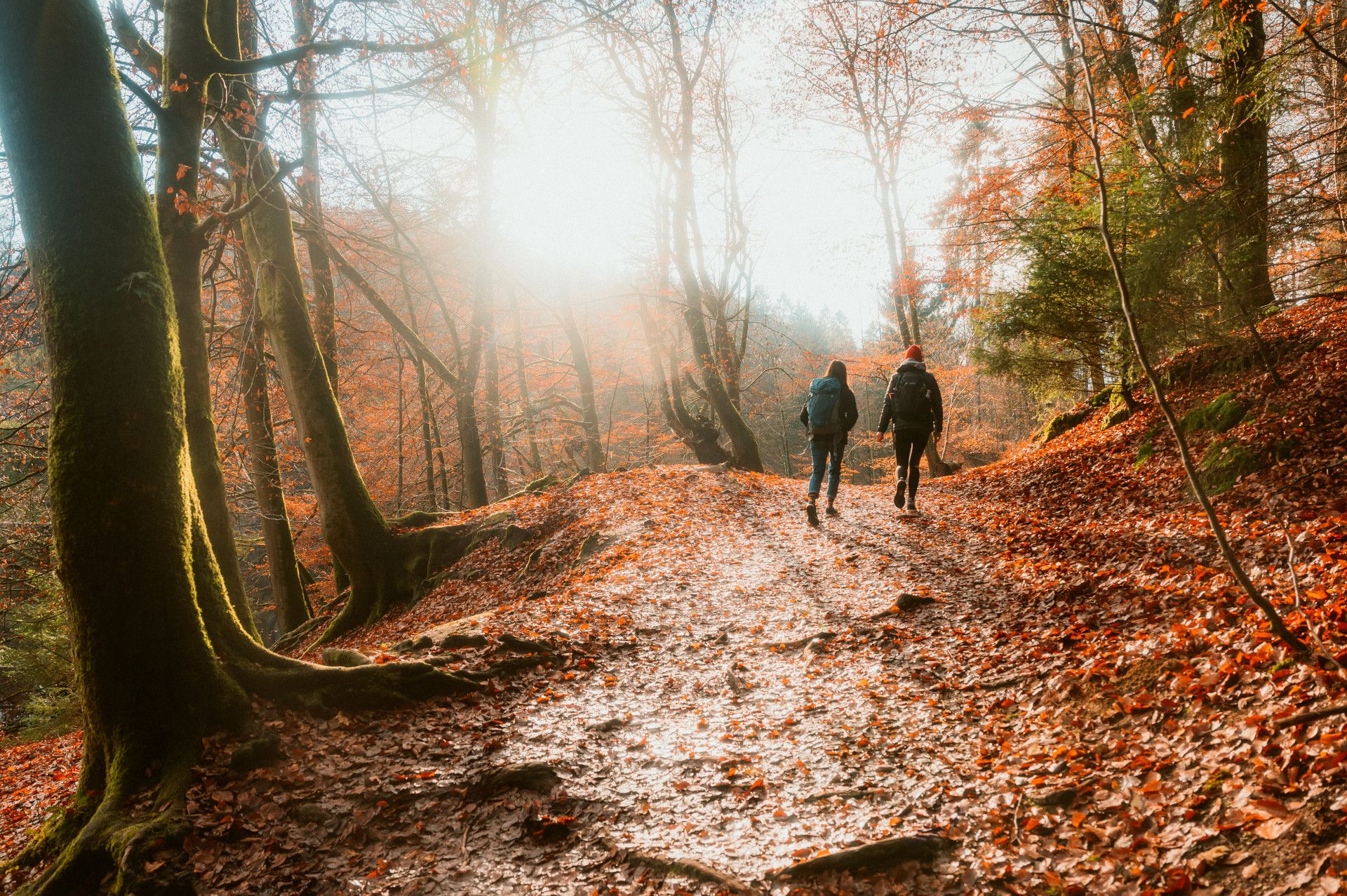 Teutoburger Wald