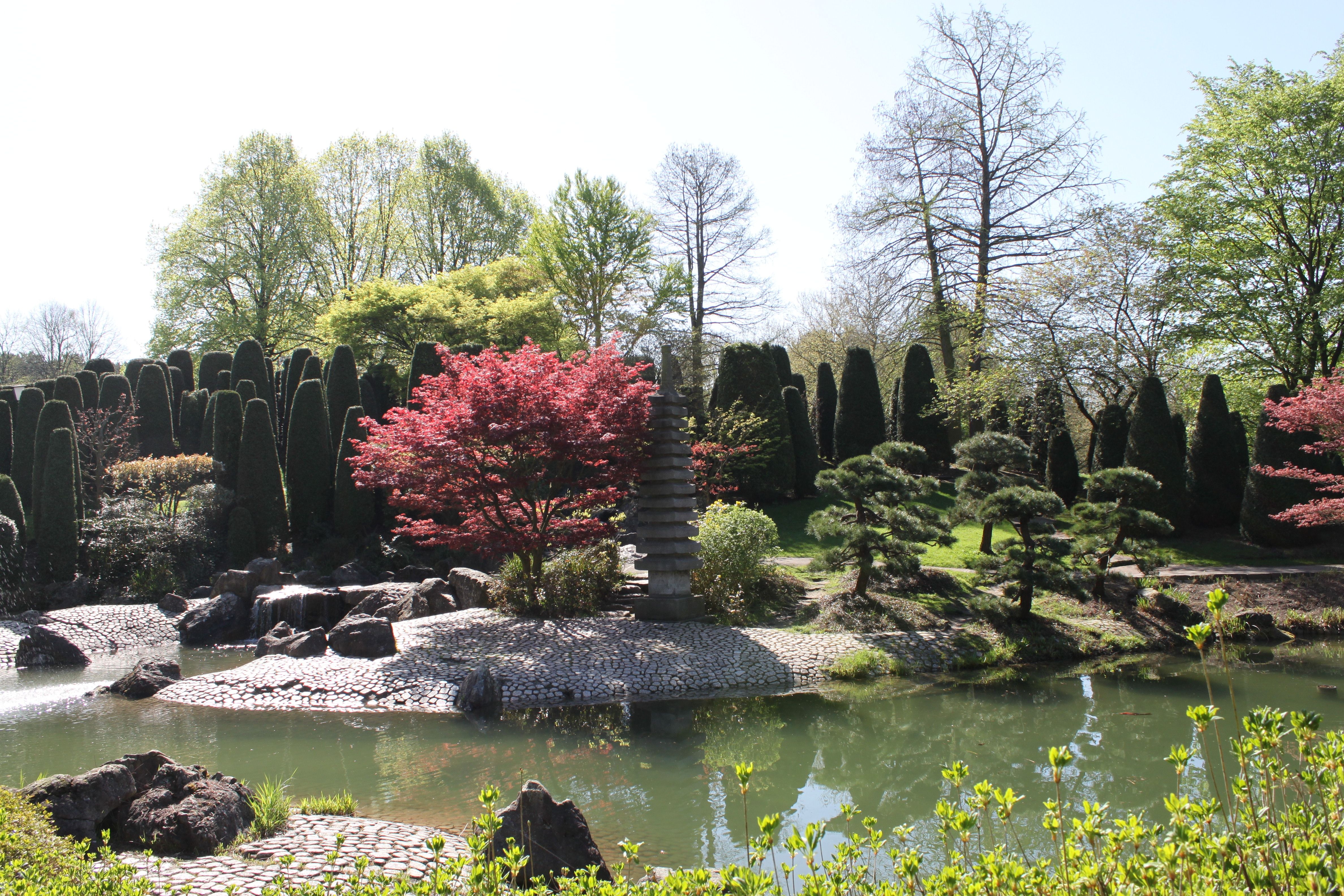 Mit seinen Zen-Elementen, Wasserfällen und kunstvoll gestalteten Bonsaibäumen schafft der Japanische Garten im Freizeitpark Rheinaue eine Atmosphäre der Harmonie und Ruhe