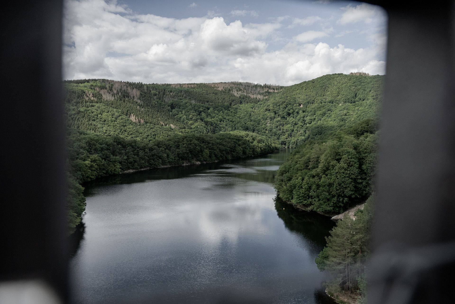 Urfttalsperre, Nationalpark Eifel