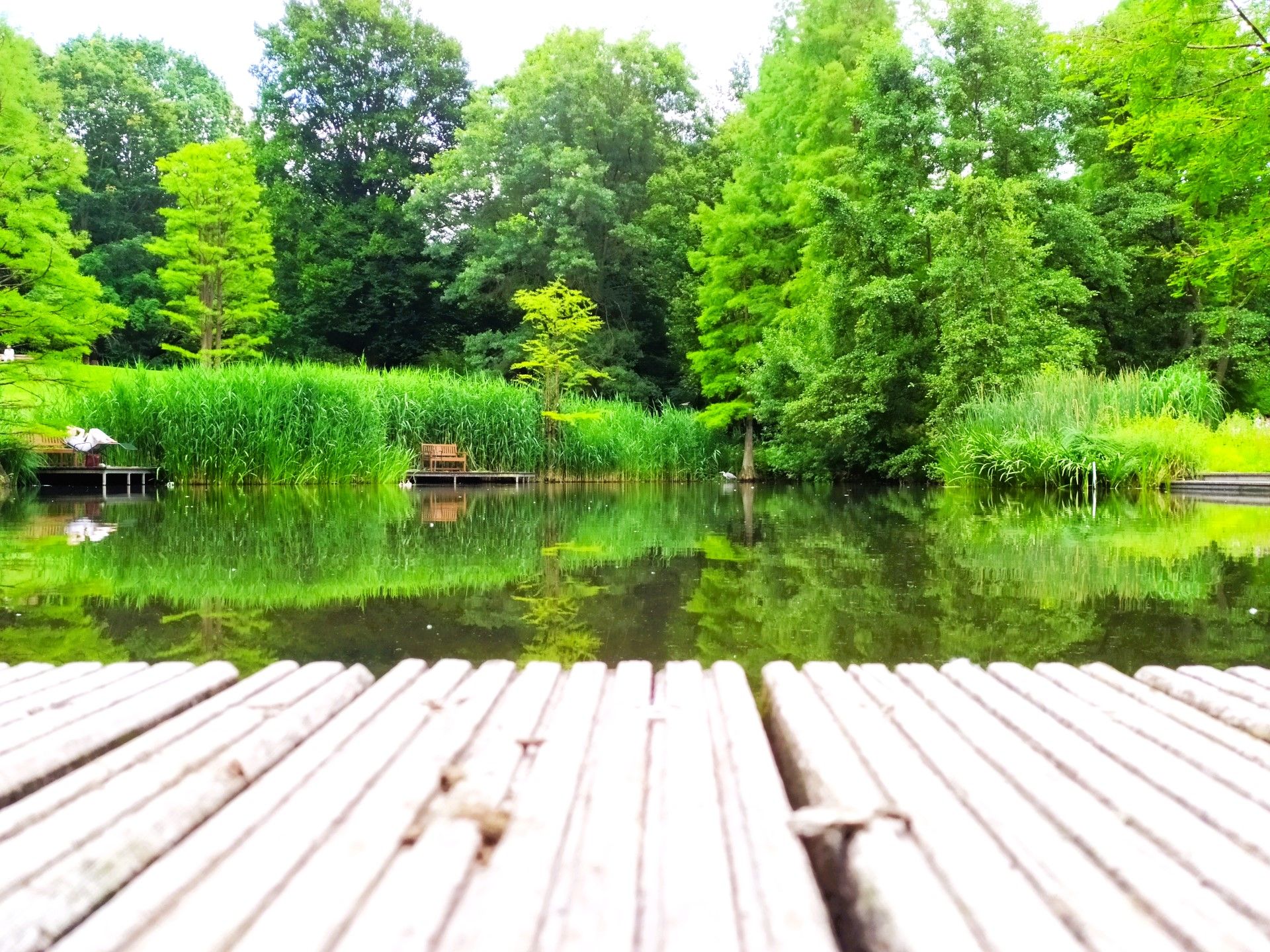 Ein Steg führt über einen angelegten Teich. Hier können Besuchende Ruhe tanken