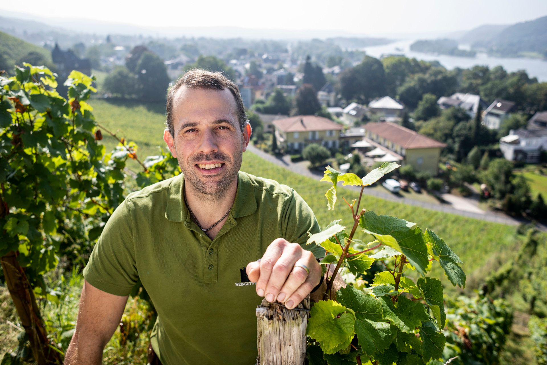 Felix Pieper im Weinhang, Rhein-Sieg-Kreis