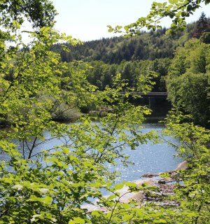 Mäanderweg Blick aus Wald auf Sieg, © Tourismus NRW e.V., Ilonka Zantop