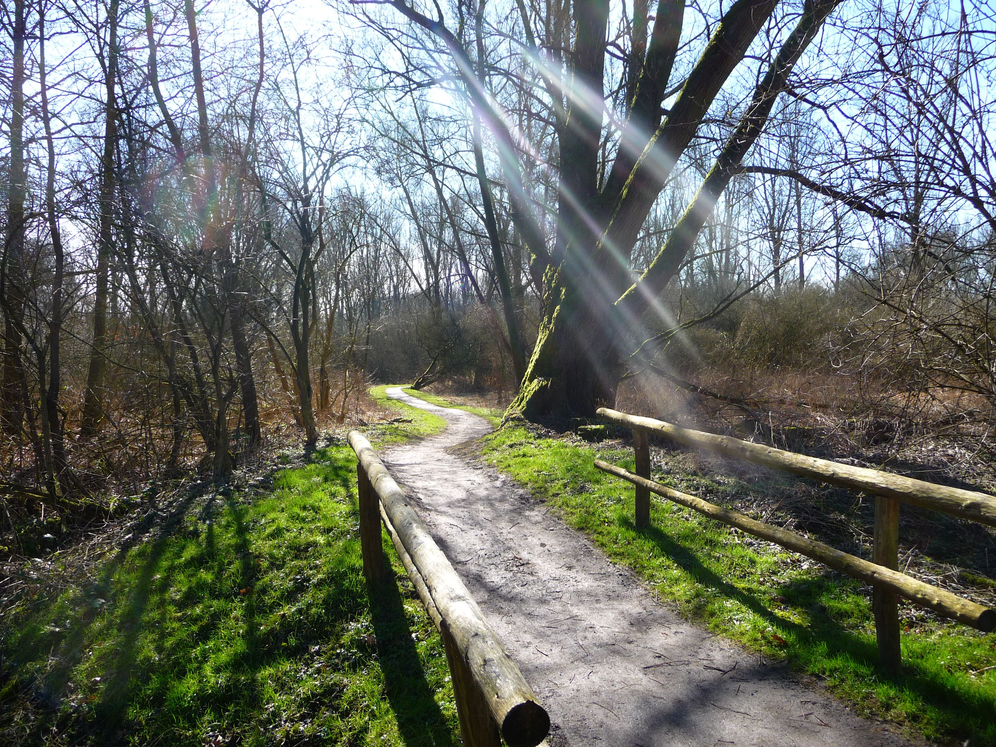 Sieben Brückenweg vor dem Unterbacher See