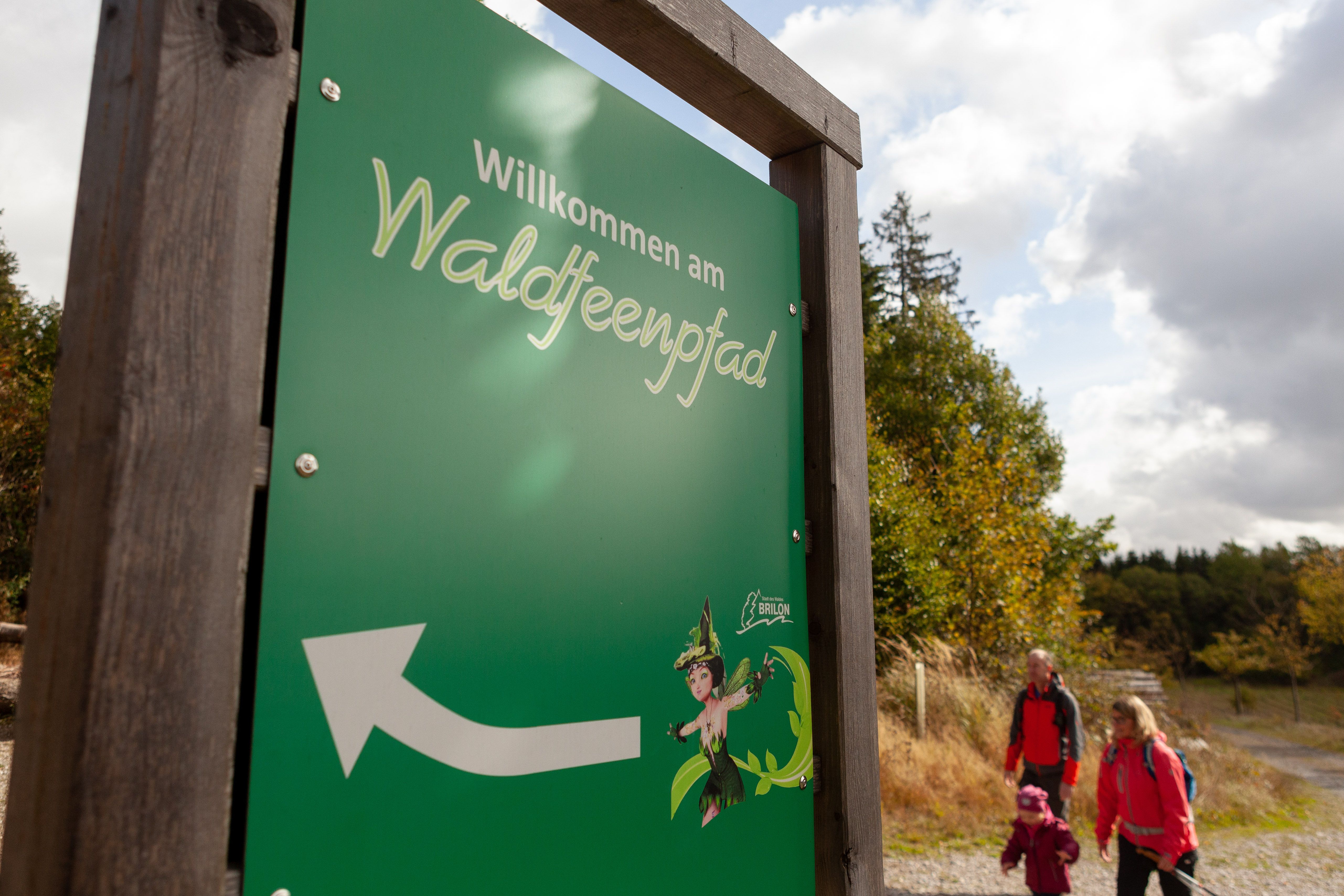 Waldfeenpfad in Brilon im Sauerland