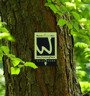 Wegweiser des Premiumwanderwegs Galgenvenn, © Naturpark Schwalm-Nette