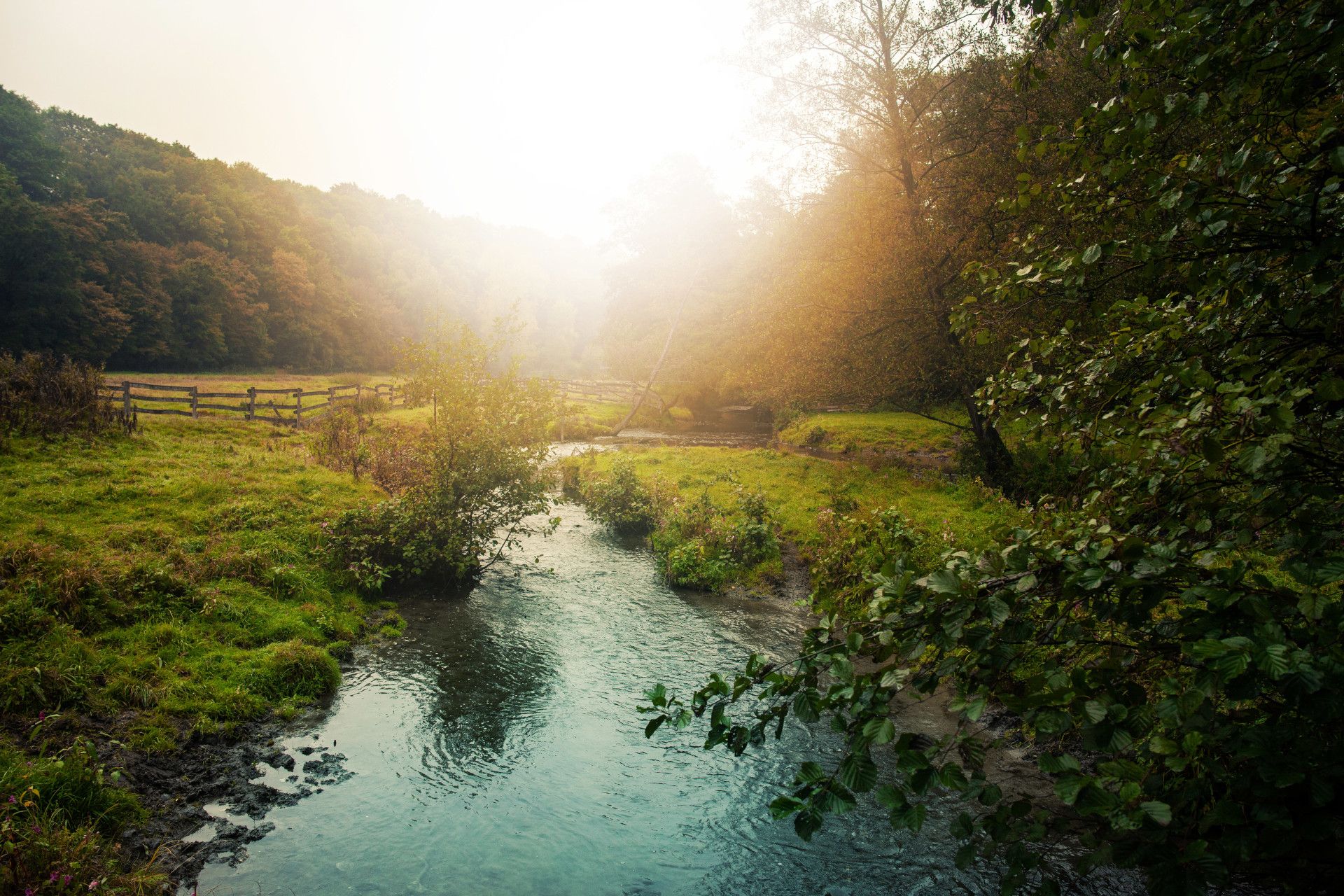 Eiszeitliches Wildgehege Bachtal mit Fluss Düssel