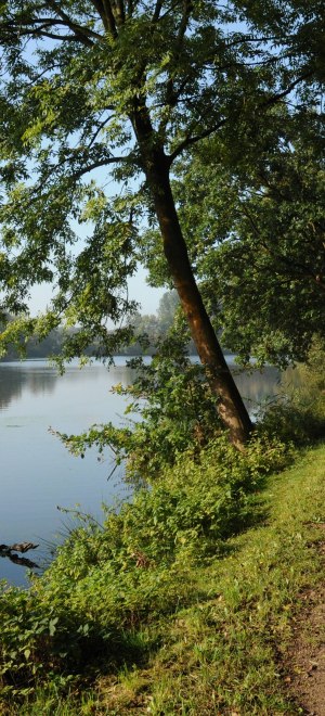 Spazieren am Fluss im Naturpark Schwalm-Nette, © Naturpark Schwalm-Nette
