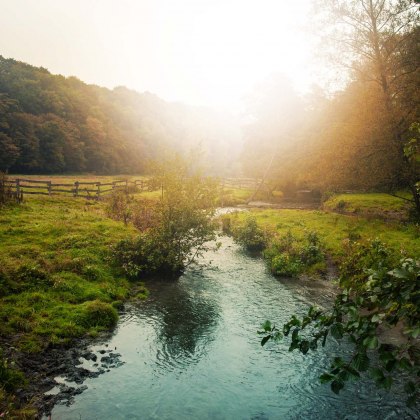 Bachlauf des Flusses Düssel im Eiszeitlichen Wildgehege Neandertal, © Tourismus NRW e.V.