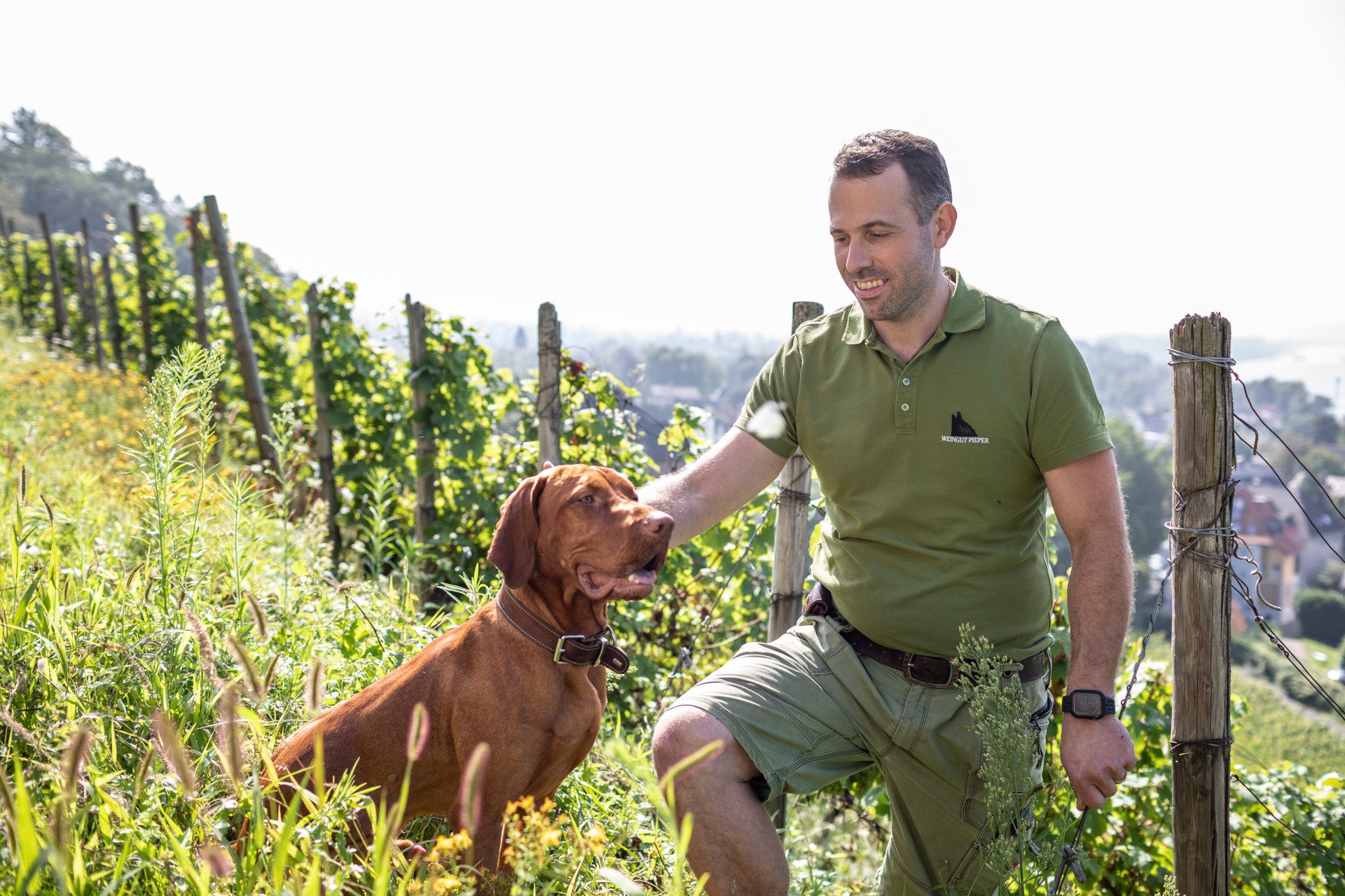 Felix Pieper im Weinhang mit Hund, Rhein-Sieg-Kreis