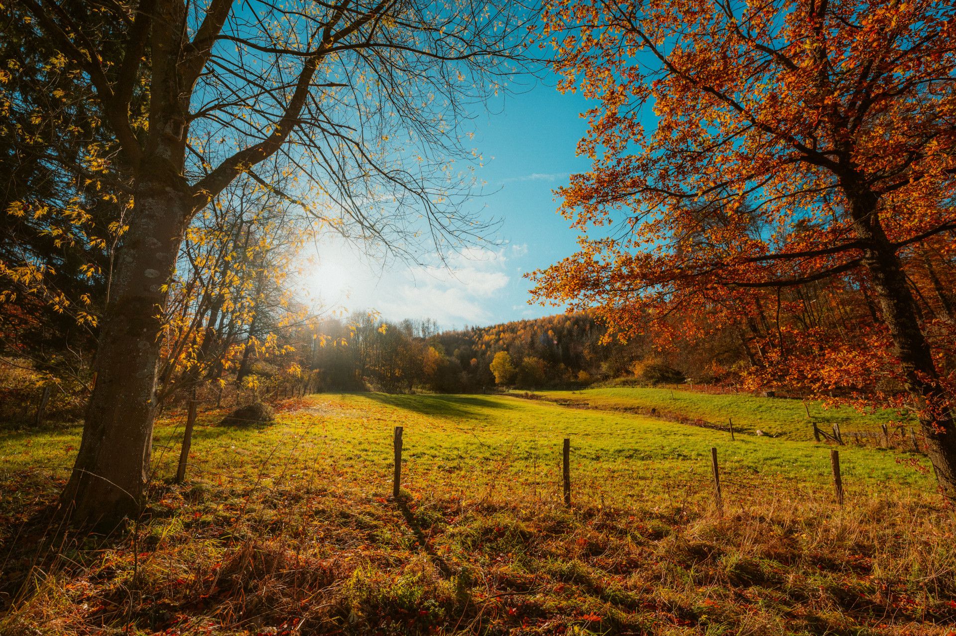 Herbstwiese im Sauerland