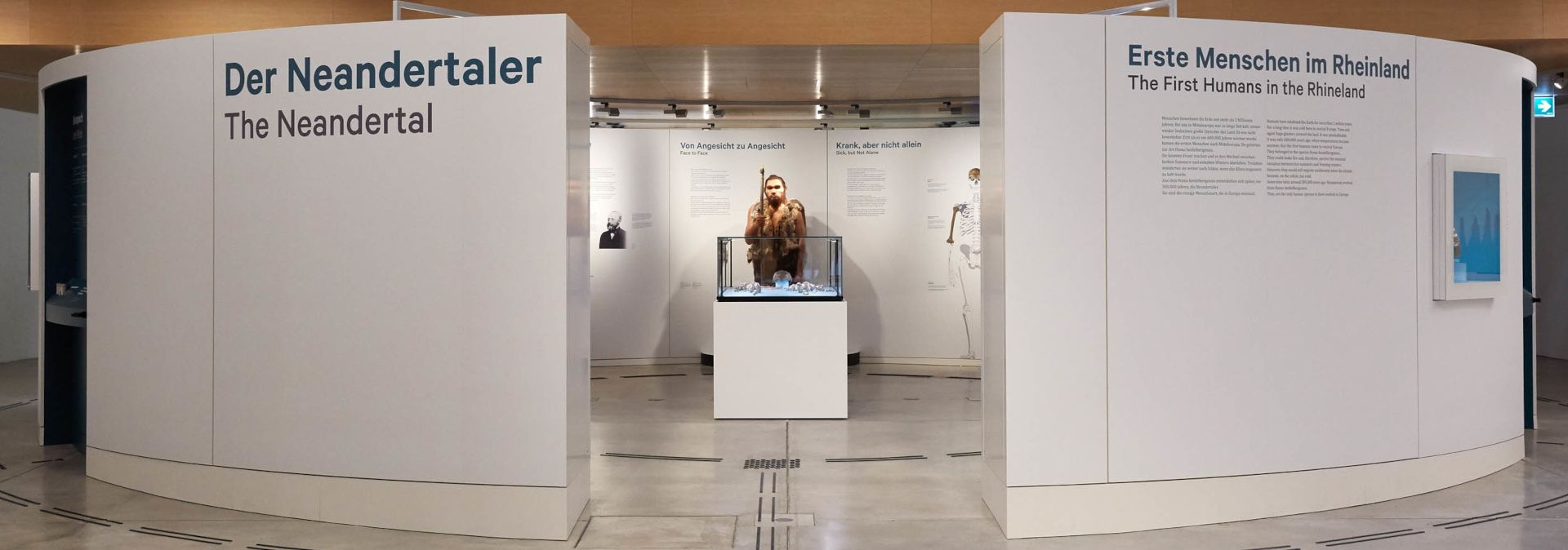 Gäste können sich dem weltberühmten Neandertaler in einer Rotunde im Museumsfoyer nähern