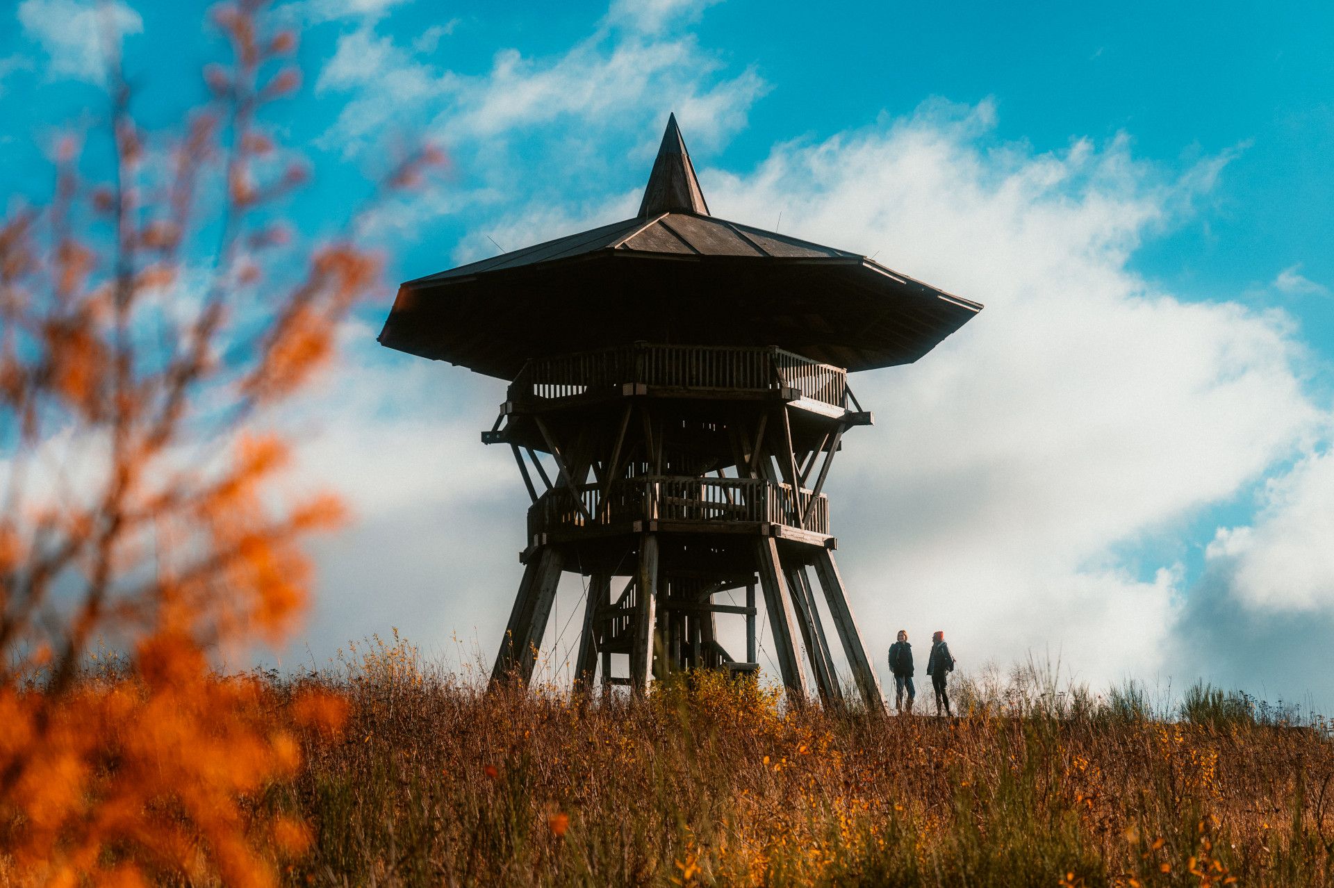 Teutoburger Wald