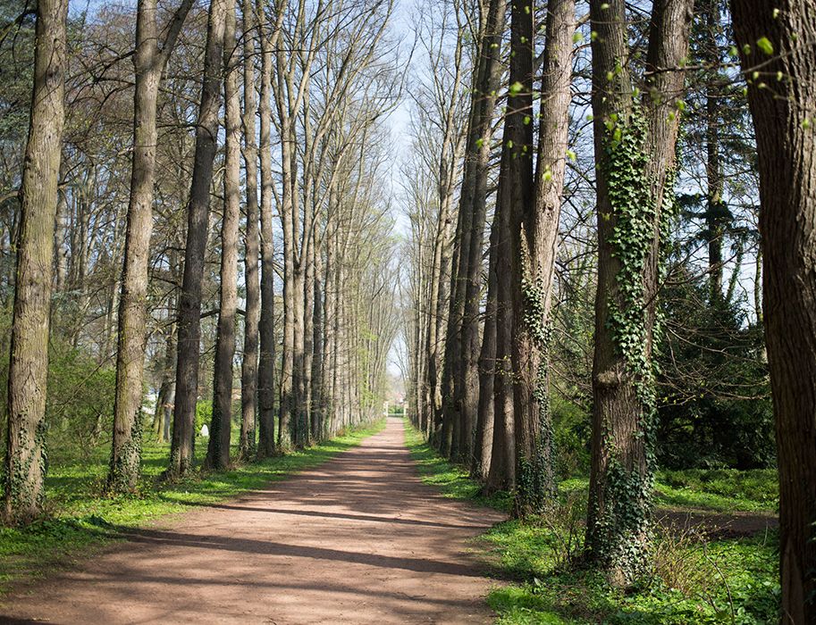 Reisende können rund um das Schloss Türnich wunderbare Natur entdecken. Wer mag, spaziert entlang einer Lindenallee