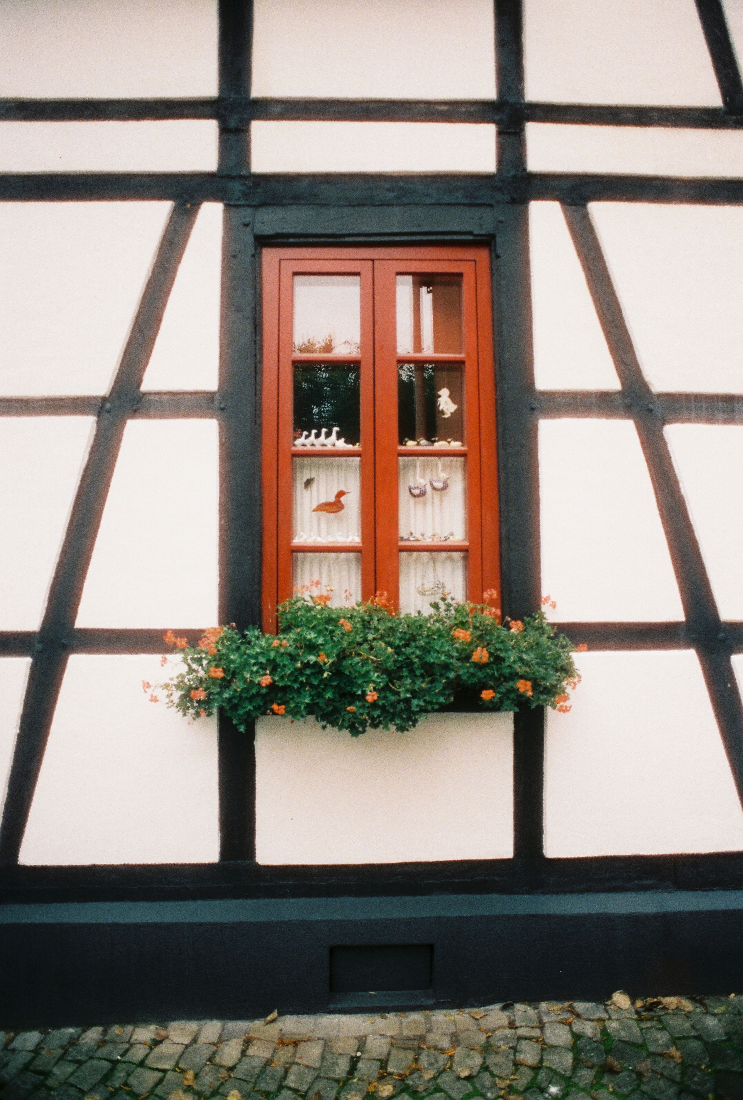 Die Fassade eines Fachwerkhauses in Paderborn