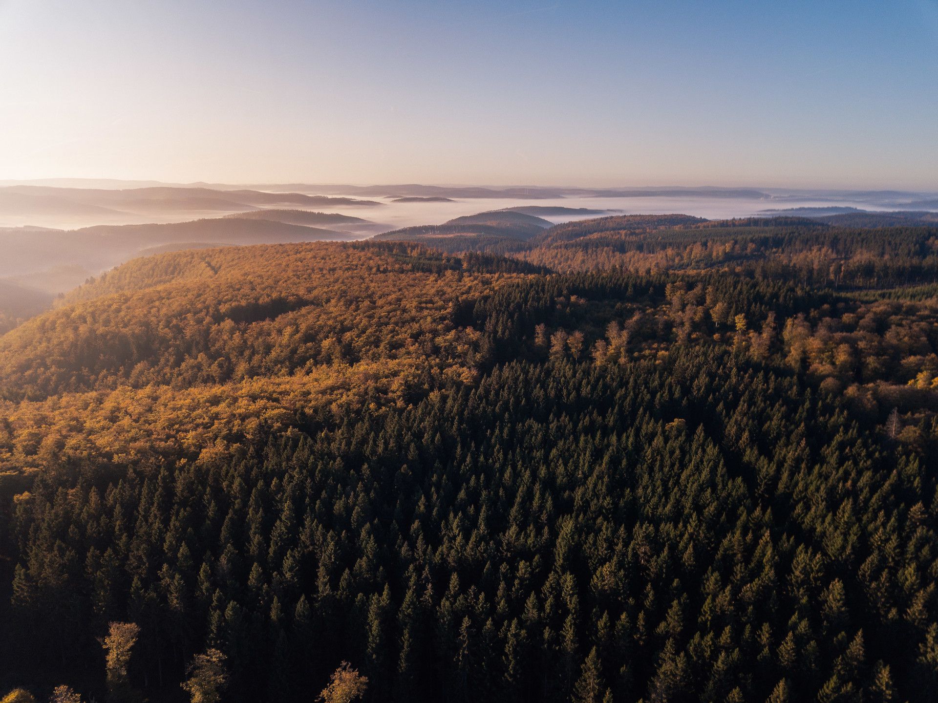 Bewaldete Hügel im Licht des Sonnenaufgang, im Hintergrund ist Nebel zu erkennen