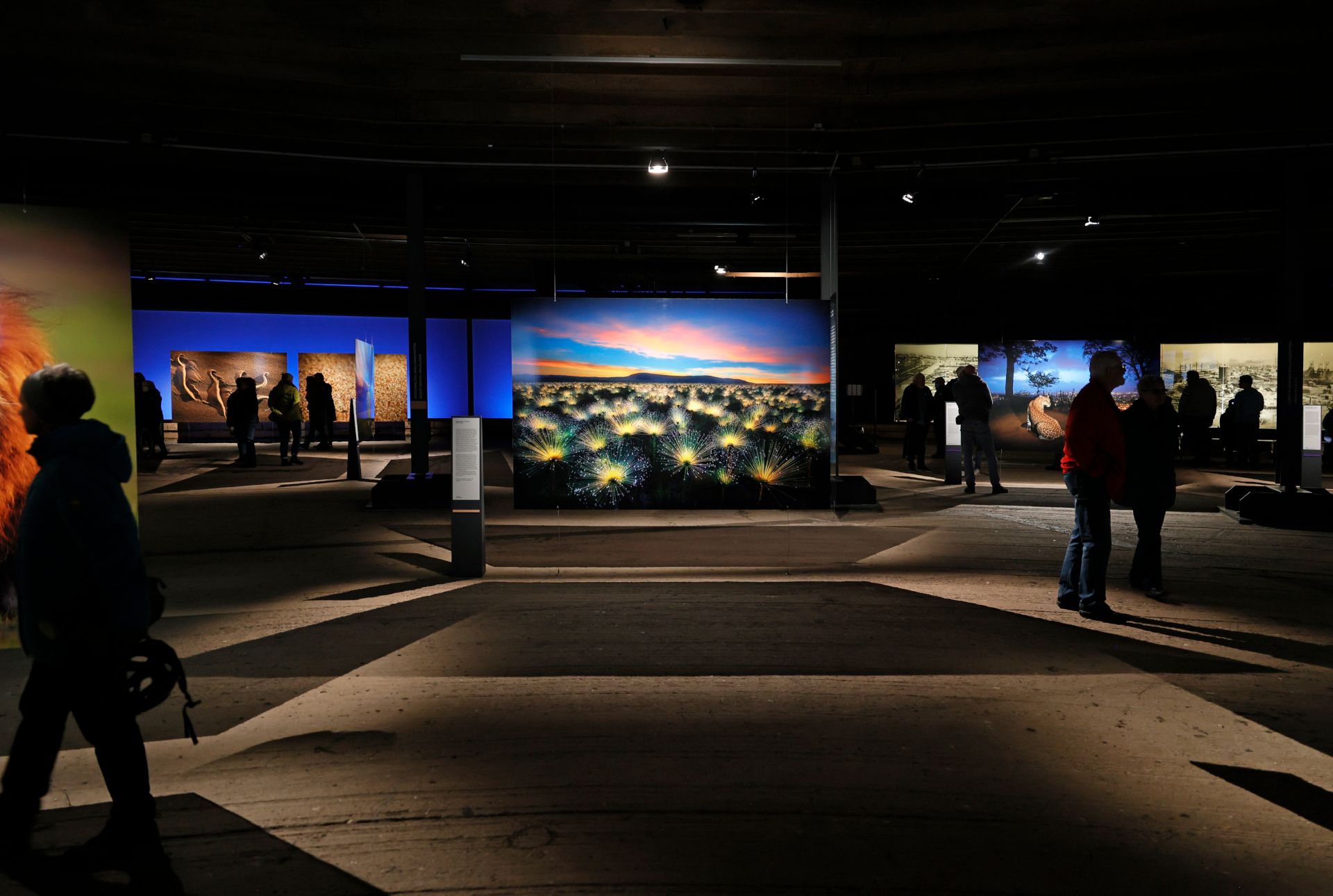 Großformatige Fotografien schicken die Gäste in nahezu jeder Gasometer-Ausstellung auf Gedankenreisen