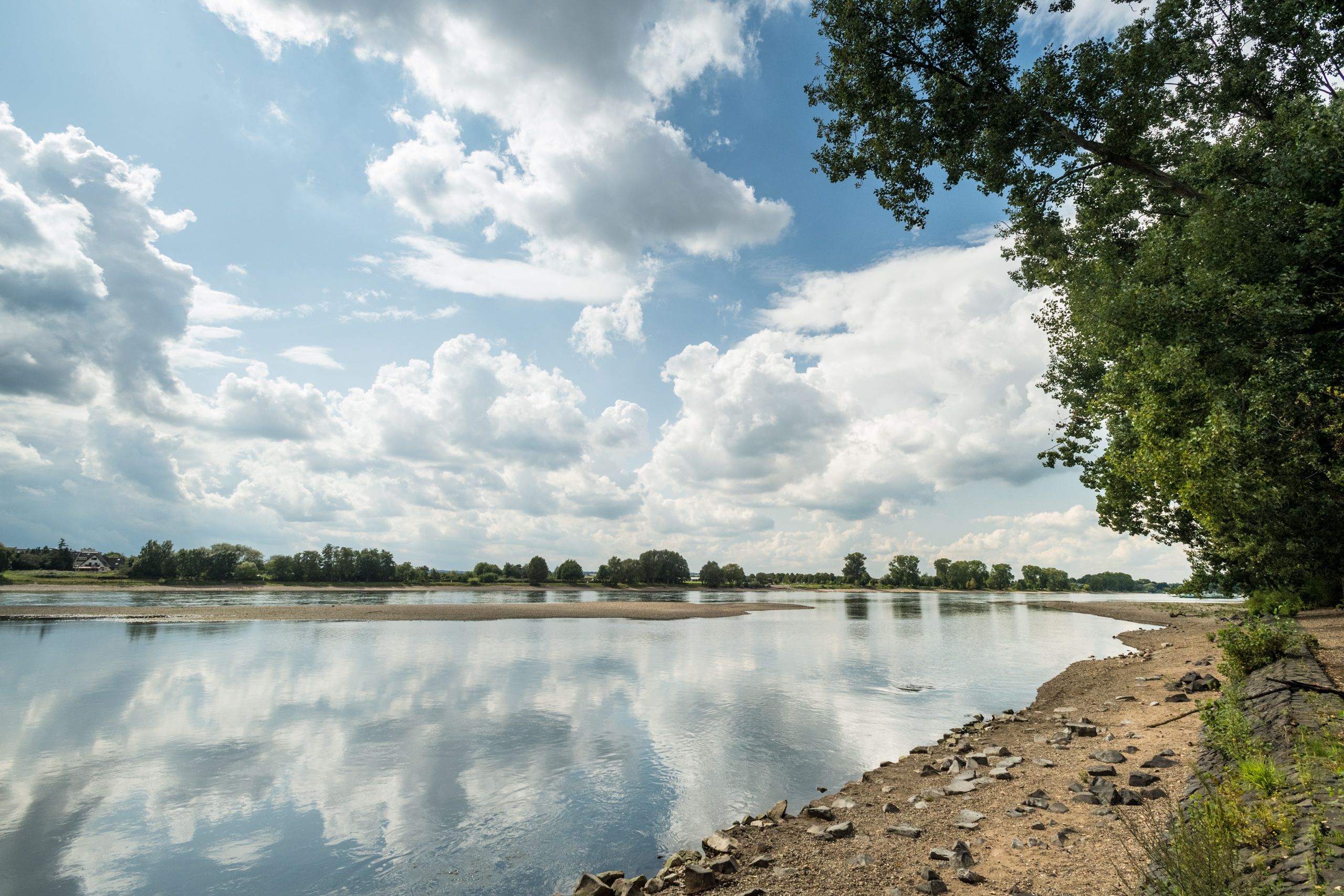 Rheinradweg Am Ufer