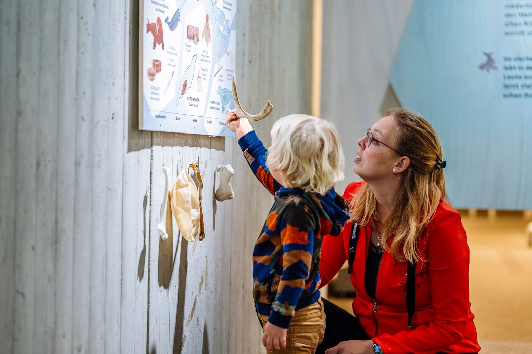 Einzelne Ausstellungsstücke wie Knochen können von kleinen wie großen Gästen sogar angefasst werden