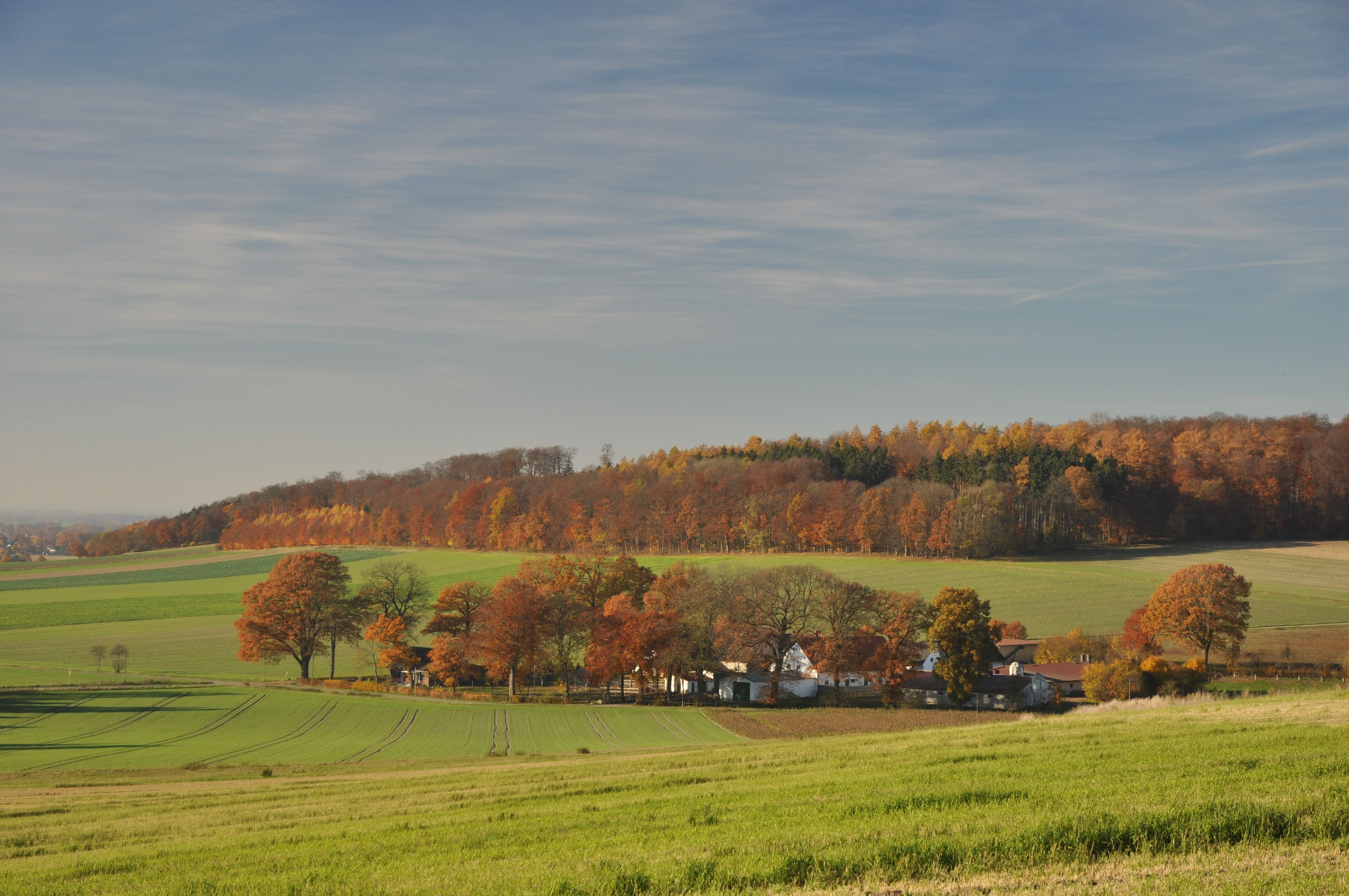 Stemweder Berge Haldem