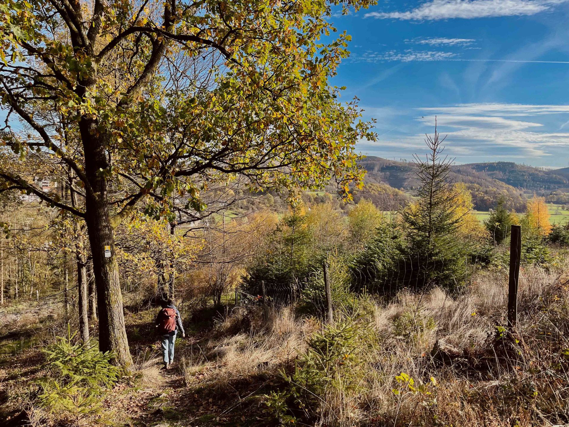 Via Celtica - Wanderweg Siegen-Wittgenstein