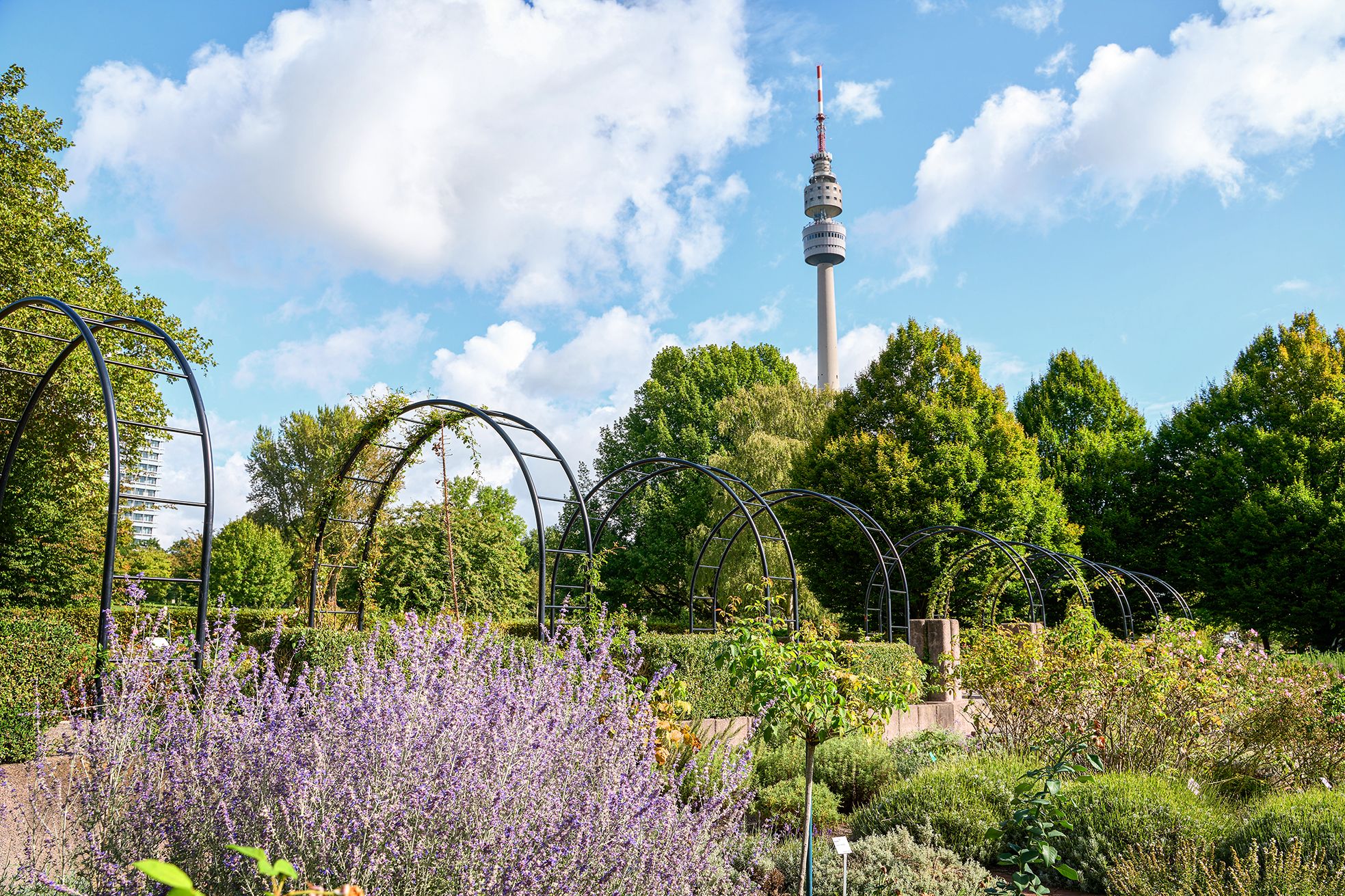 Die Themengärten im Westfalenpark Dortmund verzaubern mit ihrer Farbenpracht und einnehmenden Düften die Sinne