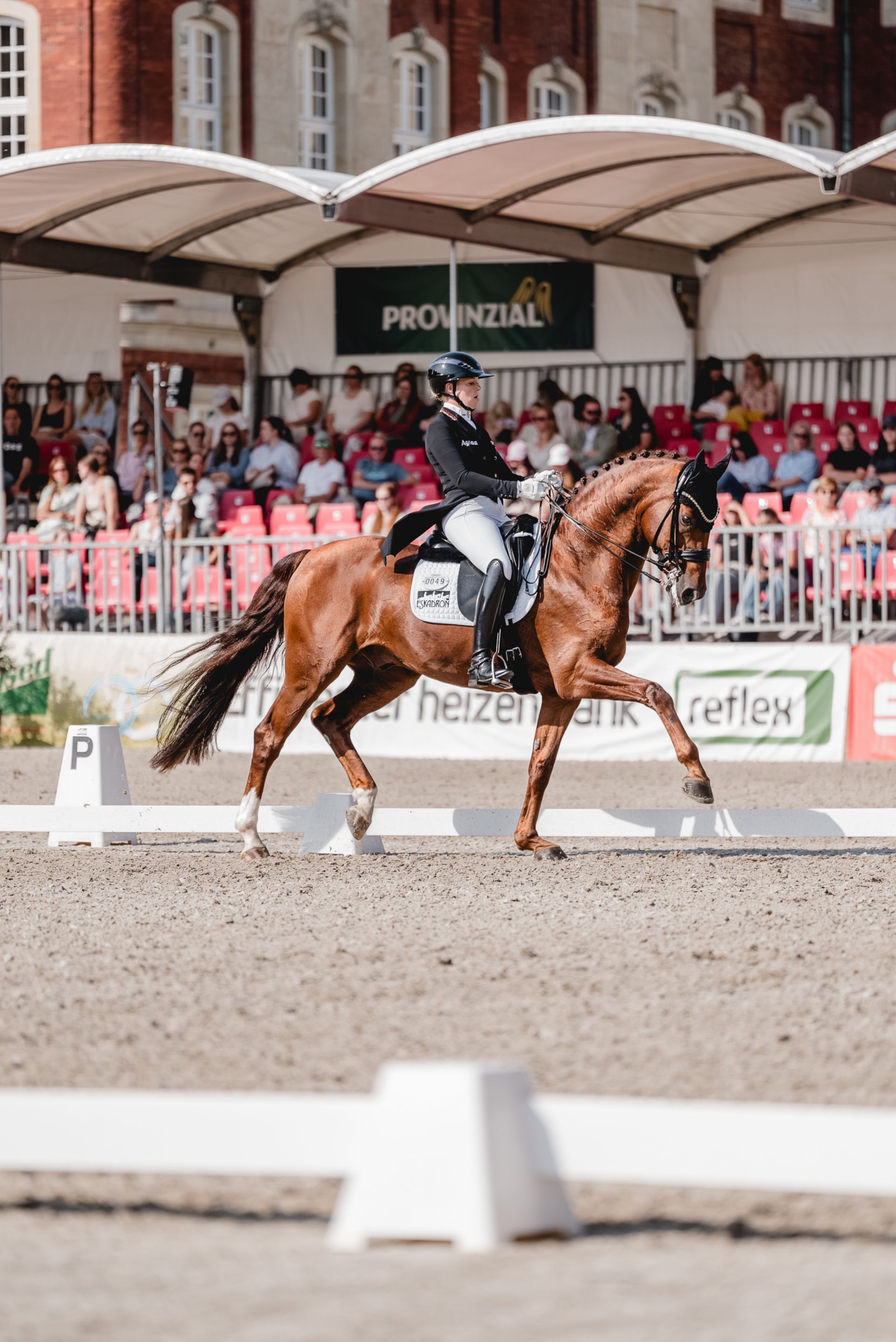 Die deutsche Dressurreiterin Katha Hemmer sichert sich 2024 den Grand Prix de Dressage