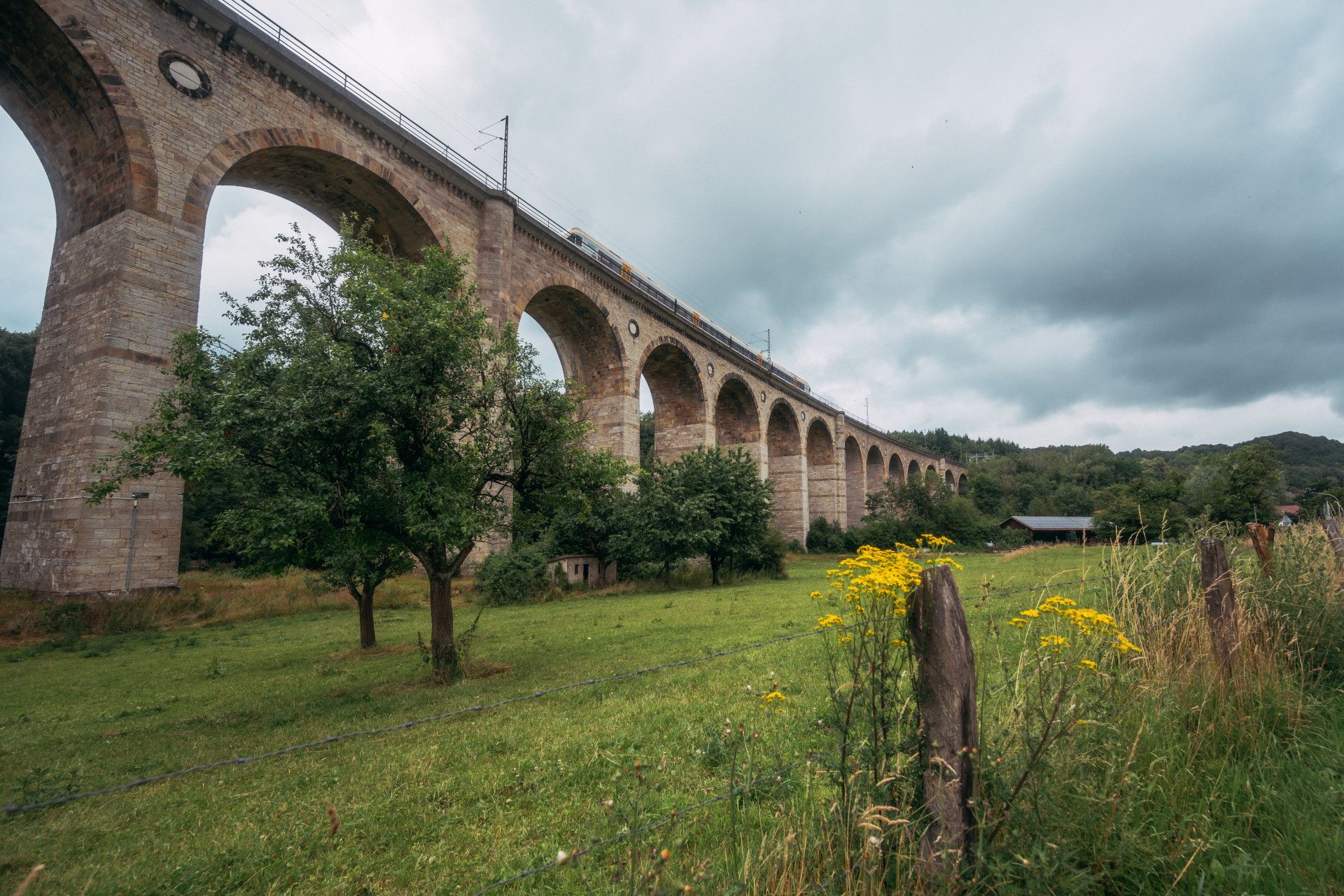 Viadukt mit Bäumen und Wiese