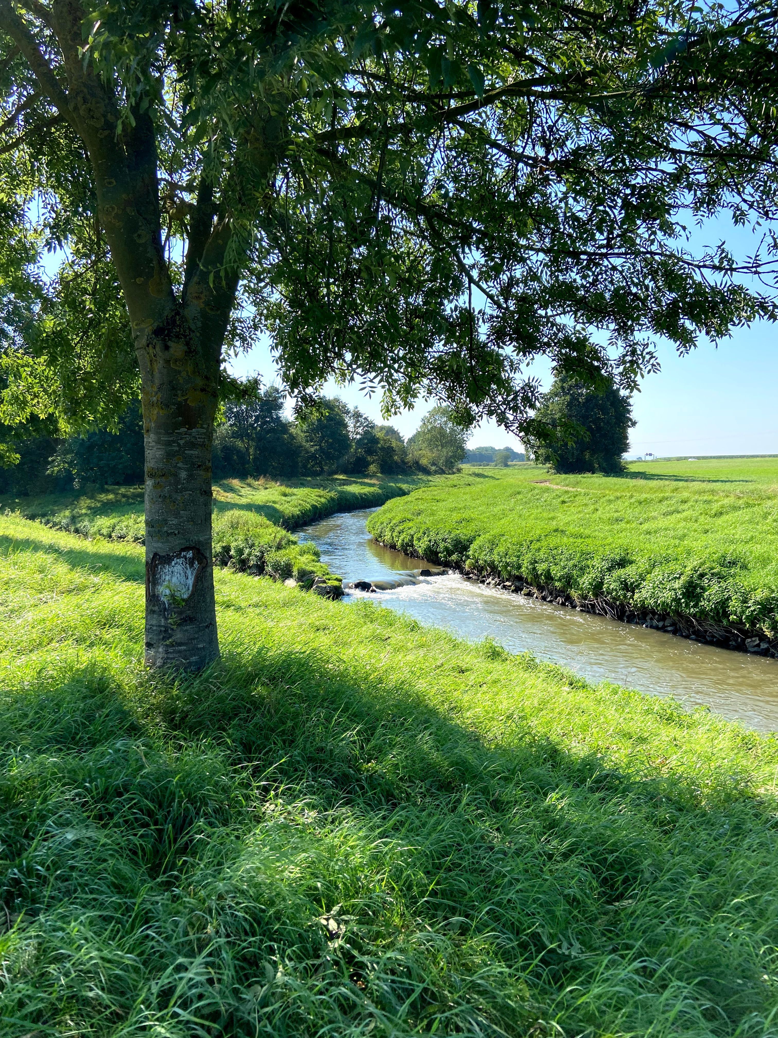 Swistmündung in der Erft bei Bliesheim