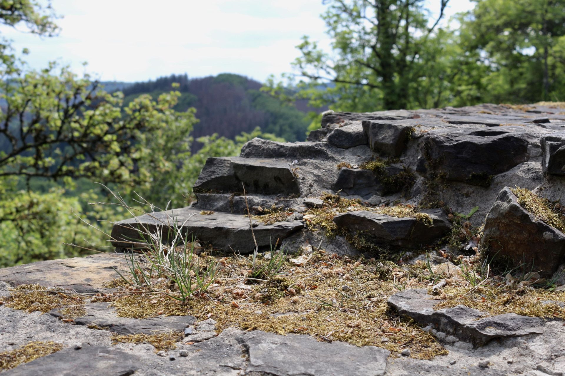 Burg Windeck Mäanderweg