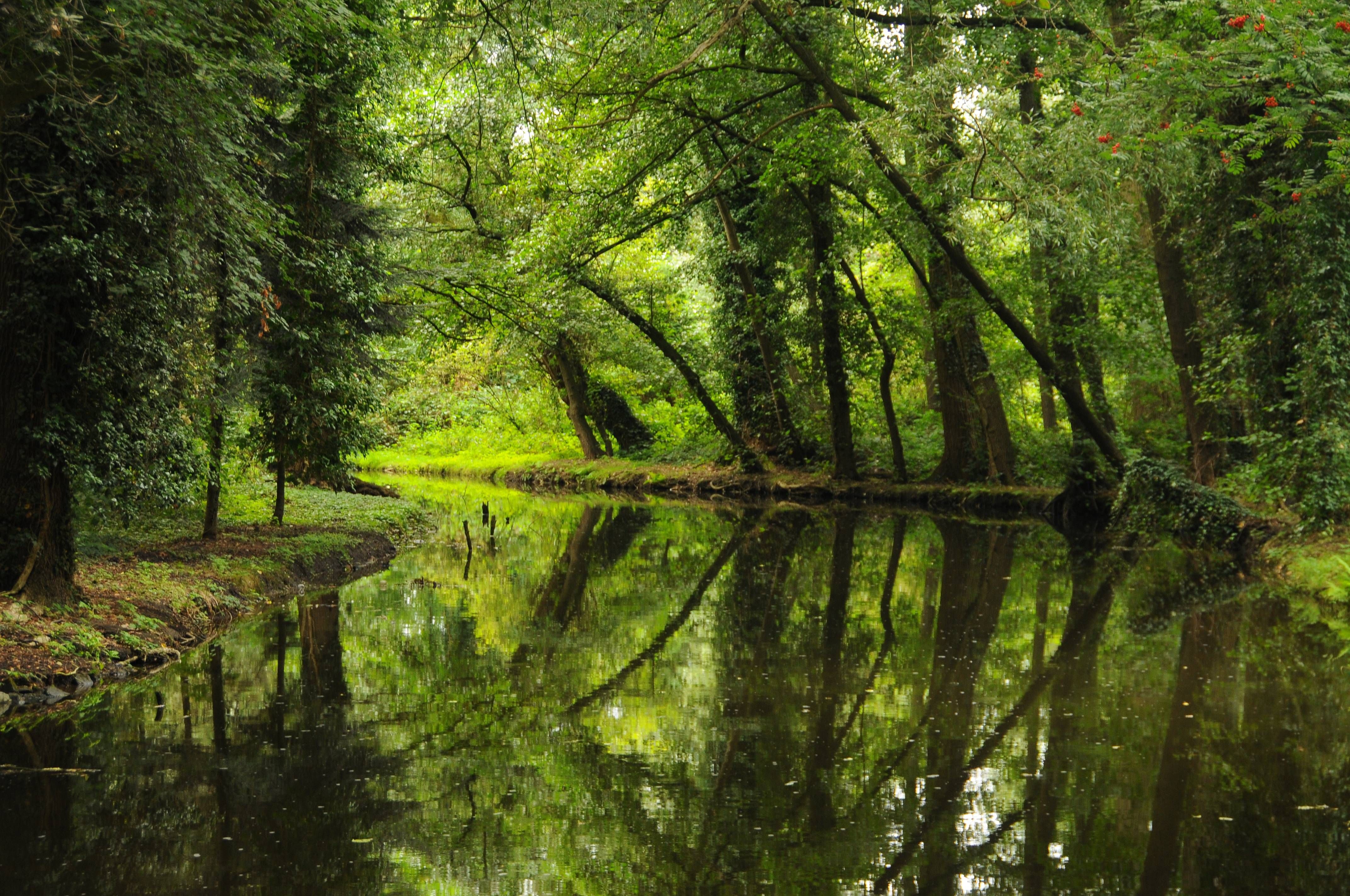 Naturpark Schwalm-Nette