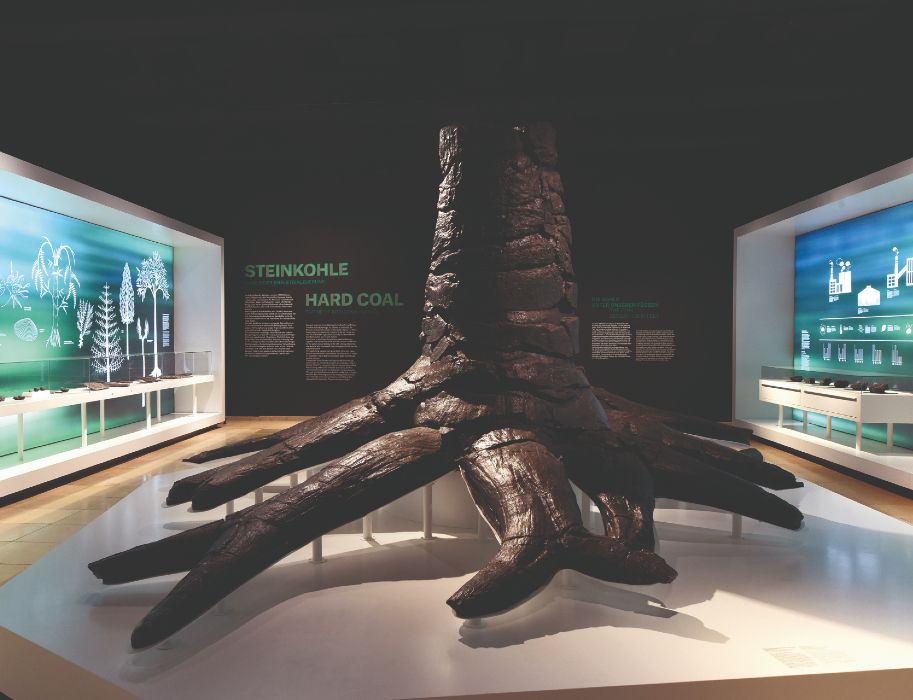 Der Stammrest einer Schuppenbaumes aus dem Karbonzeitalter ist eine der Sehenswürdigkeiten des Deutschen Bergbau-Museums