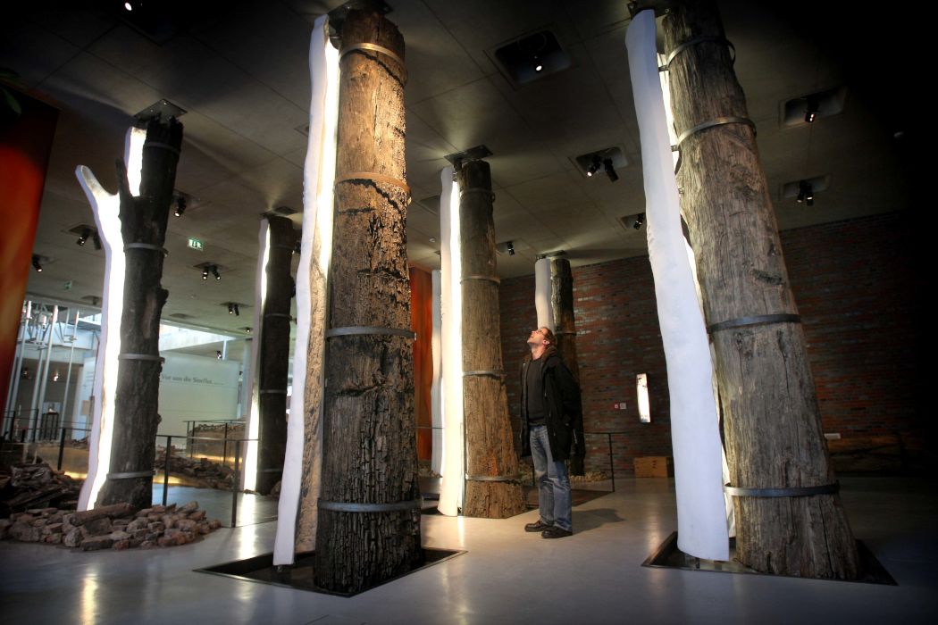 Zu den besonderen Exponaten des LWL-Museums für Archäologie und Kultur zählt ein versteinerter Zitatenwald im Eingangsbereich