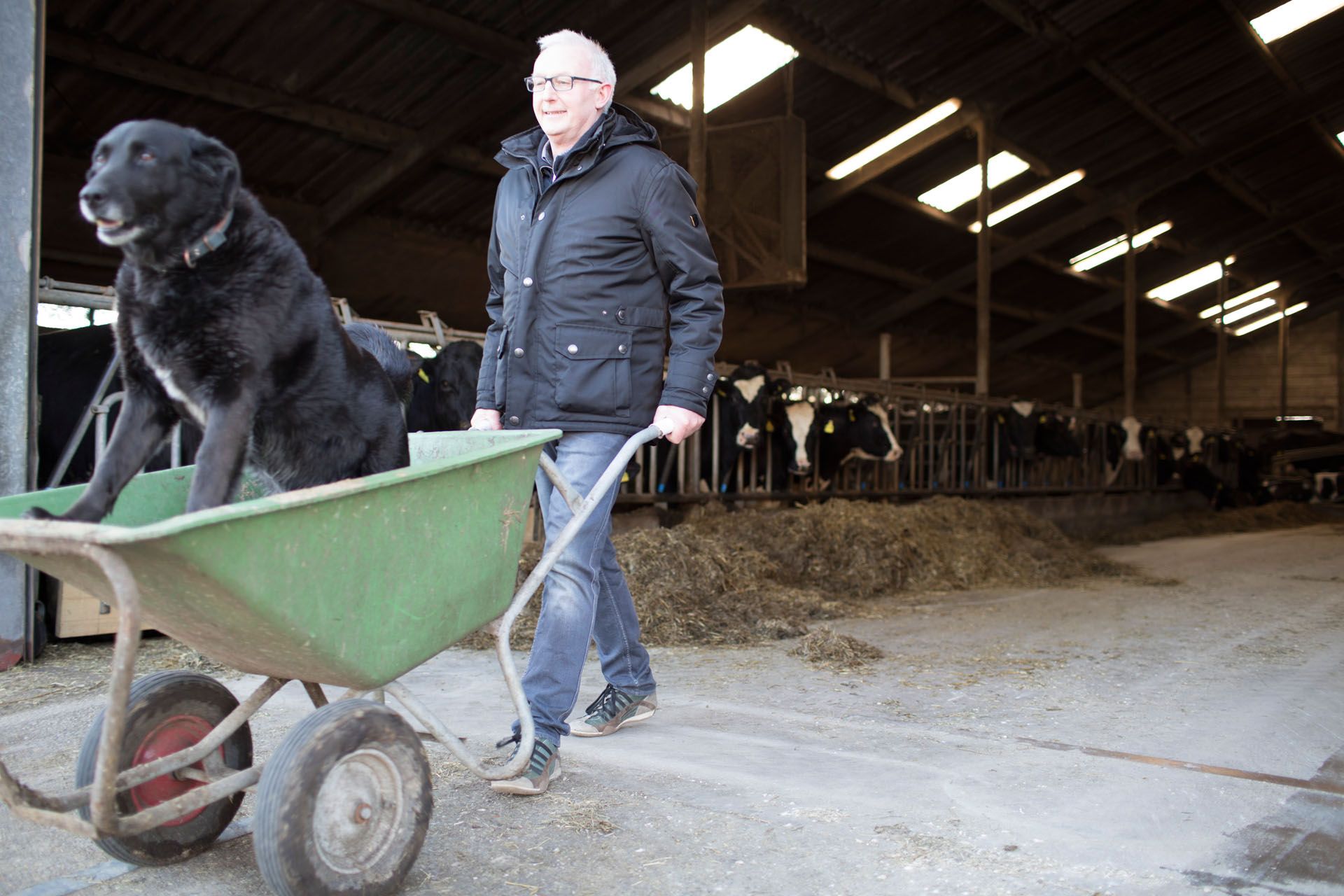 Volker Dingebauer mit Hund Tessa, Niederrhein