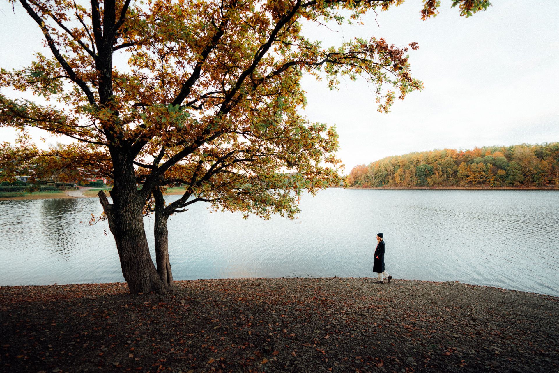 Frau vor Talsperrensee mit herbstlichen Bäumen