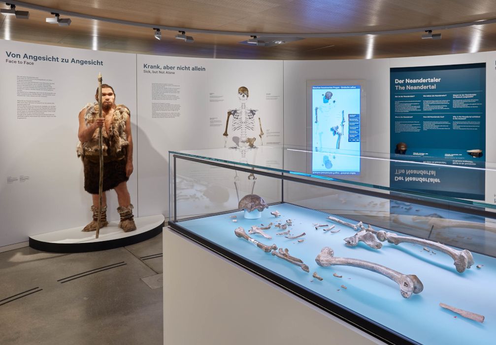 Gäste können sich dem weltberühmten Neandertaler in einer Rotunde im Museumsfoyer nähern