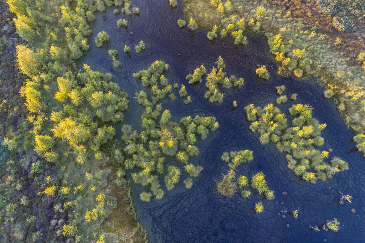 Naturpark Dümmer Moor aus der Luft