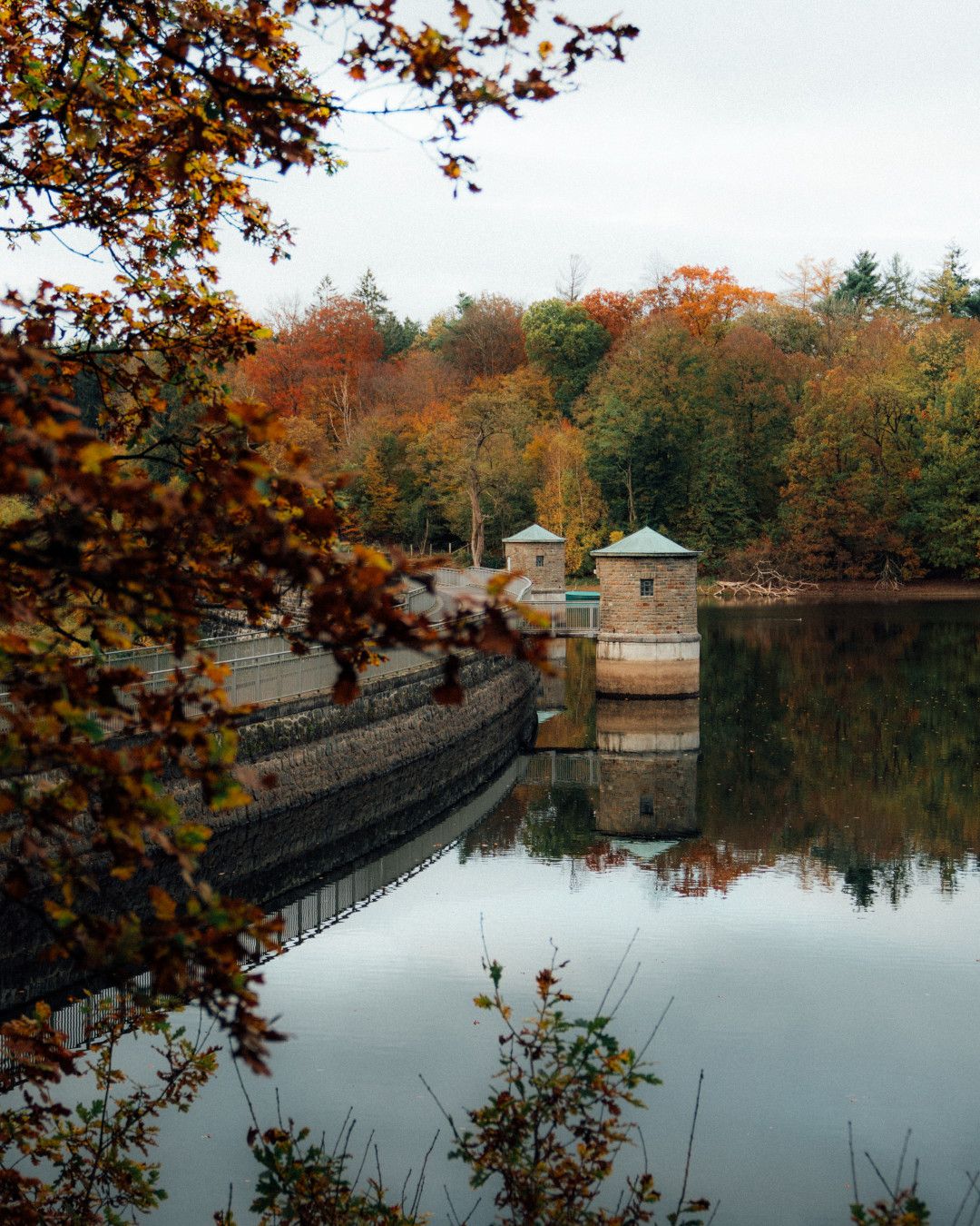 Staumauer vor herbstlichem Ufer an Talsperre