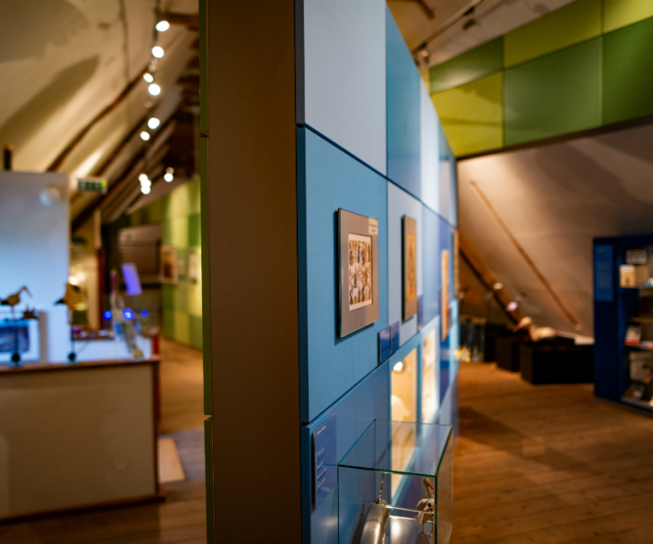 Einblick in die Ausstellung im Westfälischen Storchenmuseum, © Tourismus NRW e.V.