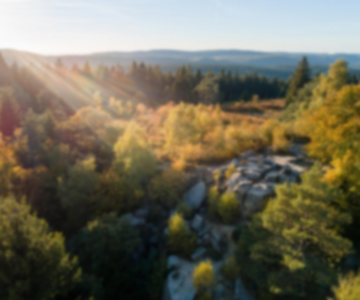 Lippischer Velmerstot im Teutoburger Wald, © Tourismus NRW e.V.