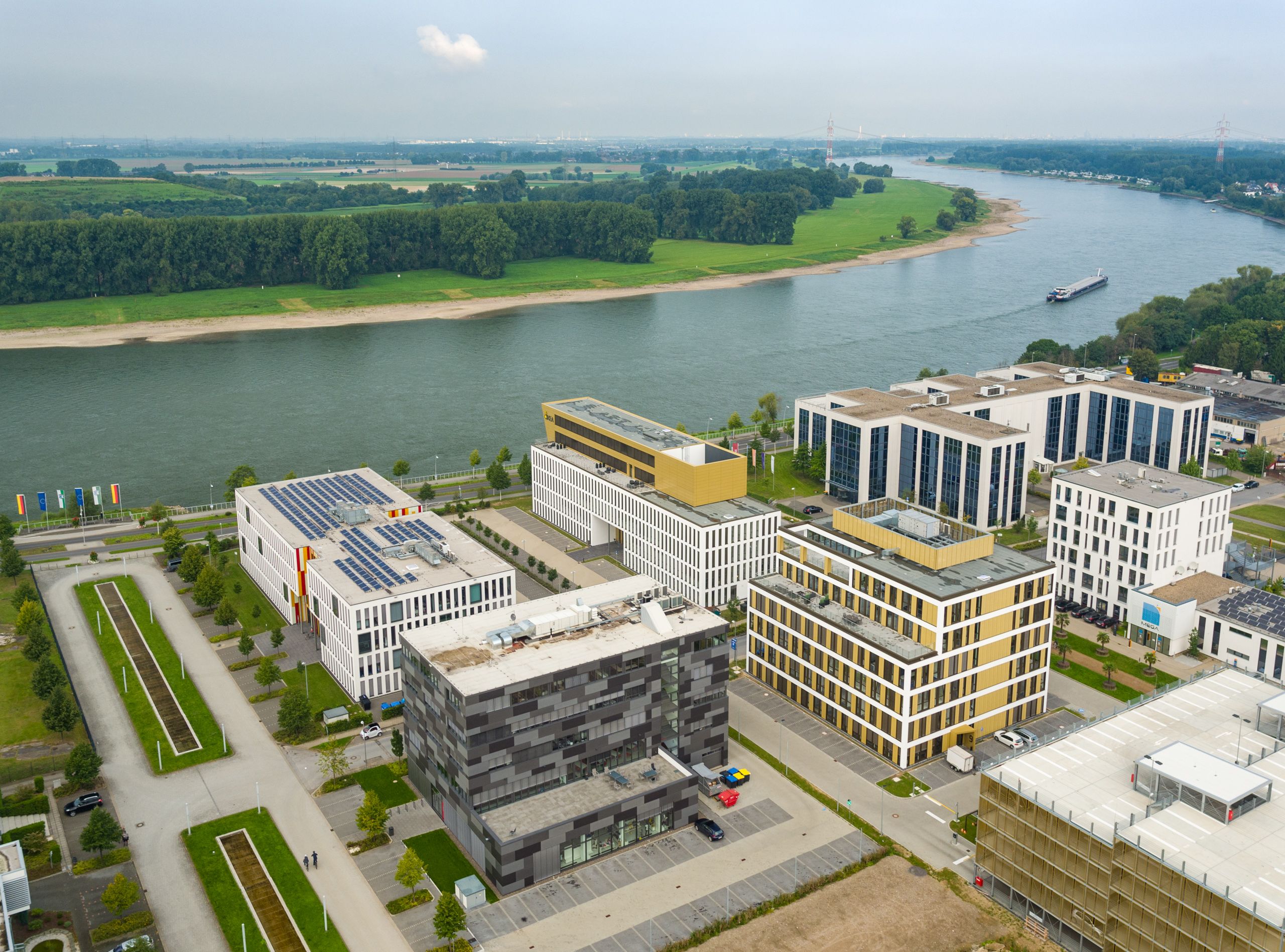 Blick auf den Rhein