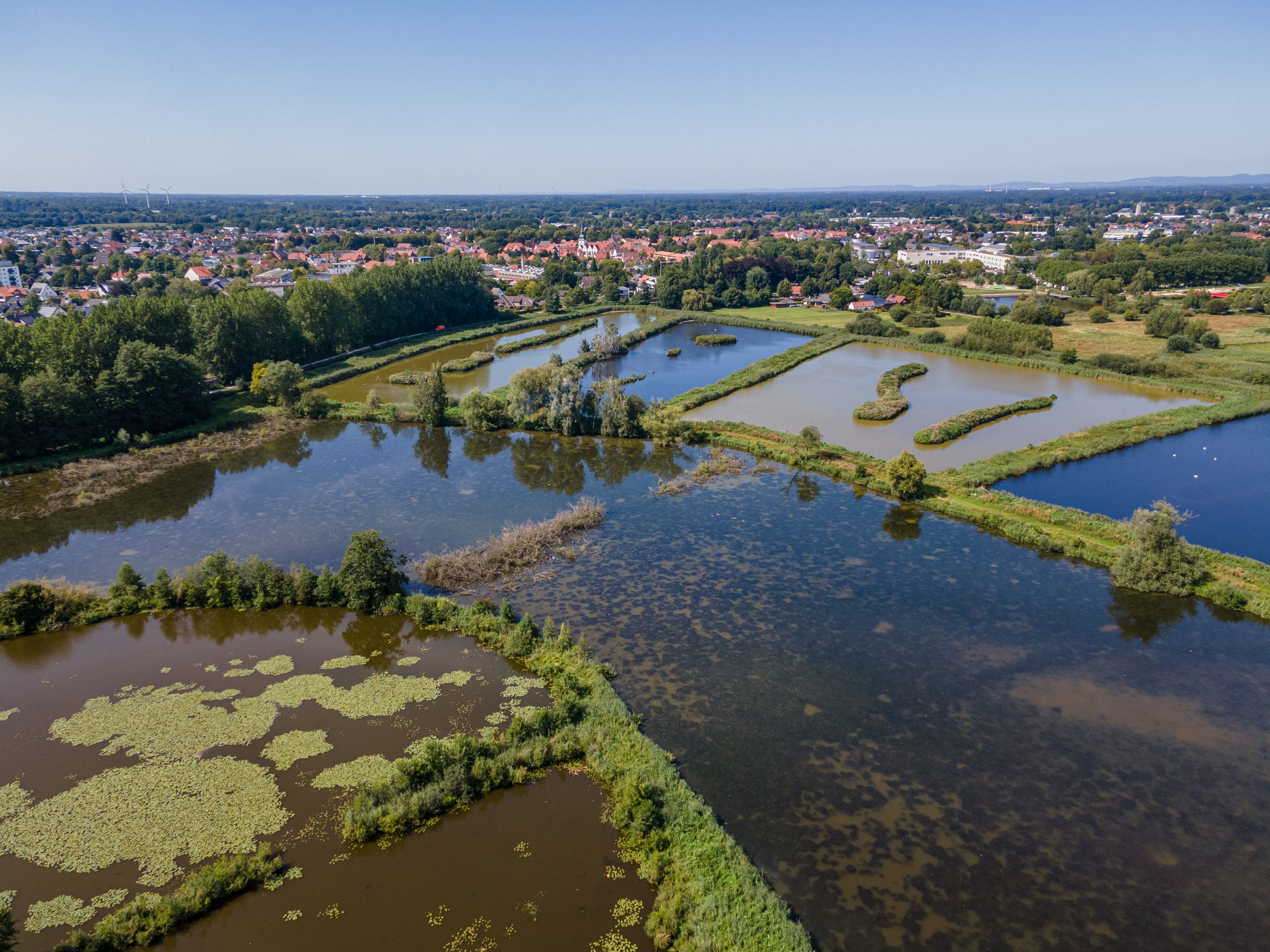 Rietberger Fischteiche