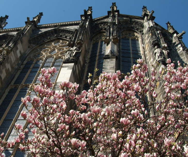 Von unten betrachtet wirkt der Aachener Dom bombastisch, © aachen tourist service e.v.