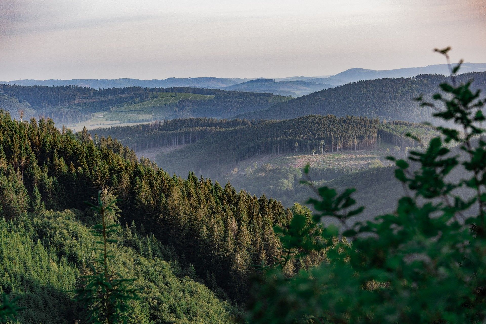 Blick auf den Naturpark Sauerland Rothaargebirge