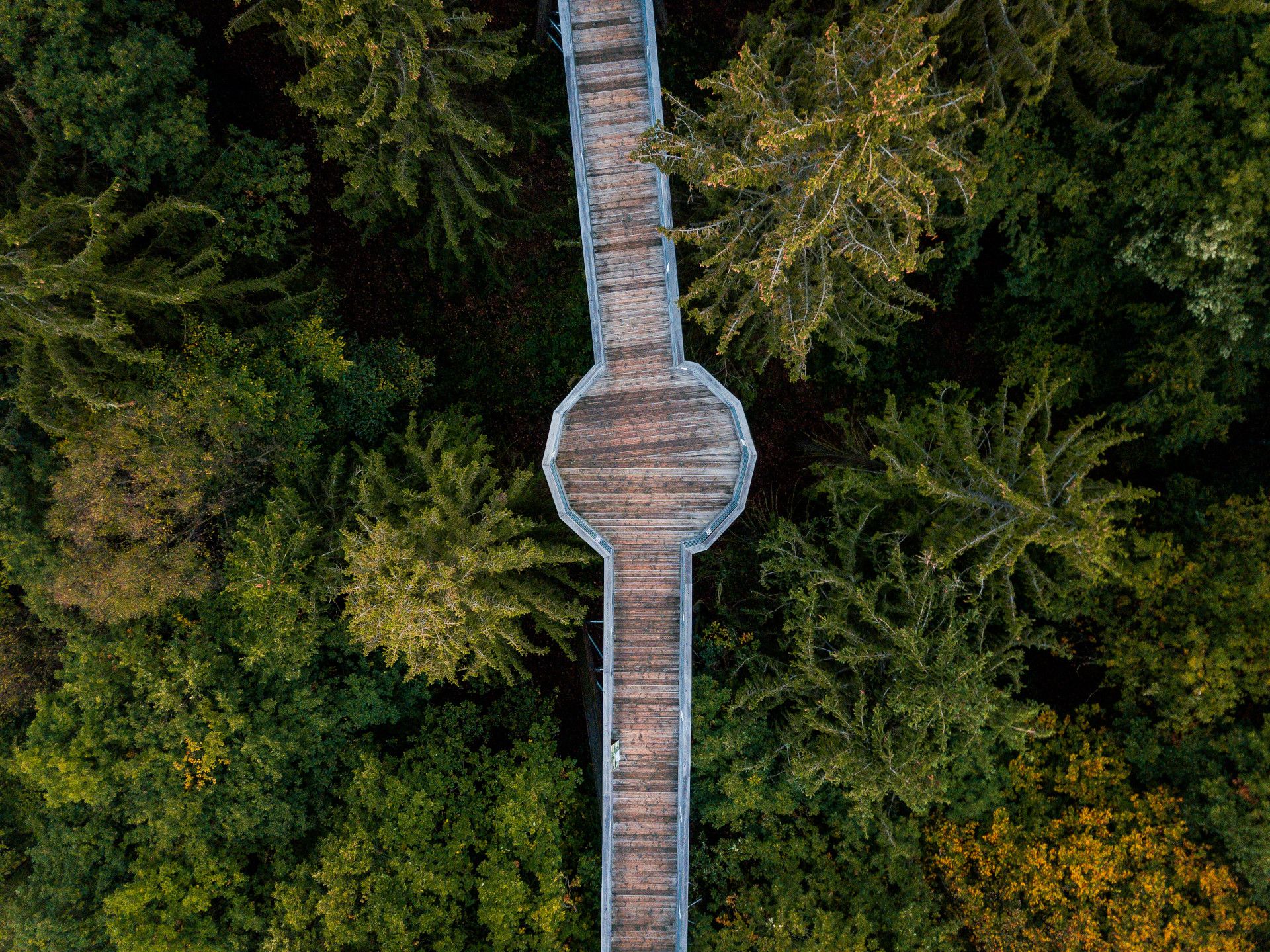 Panarbora Baumwipfelpfad Vogelperspektive, Waldbröl, Bergisches Land