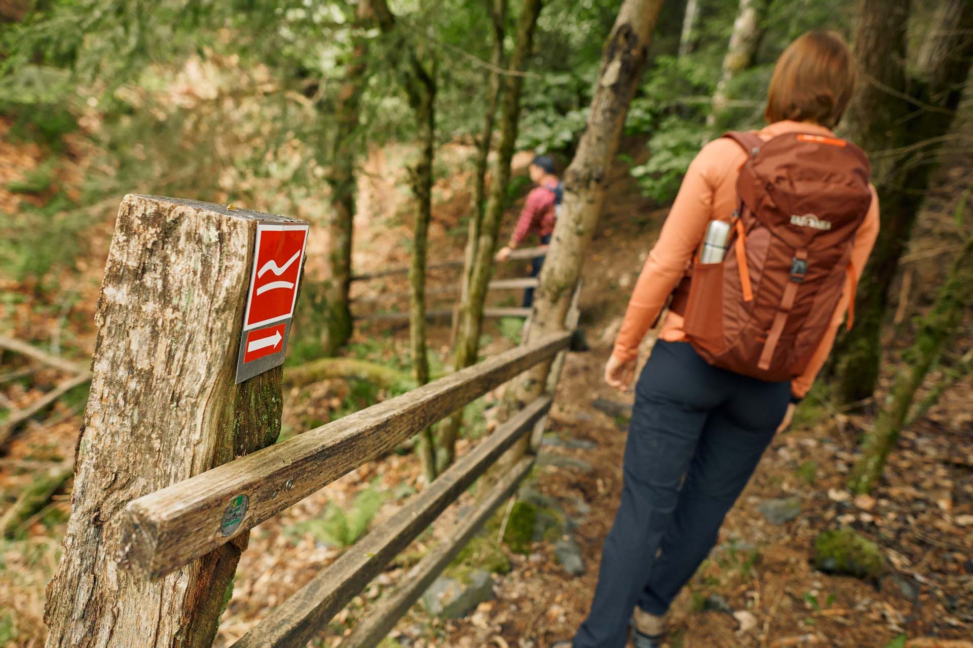 Wandern im Naturpark Sauerland Rothaargebirge