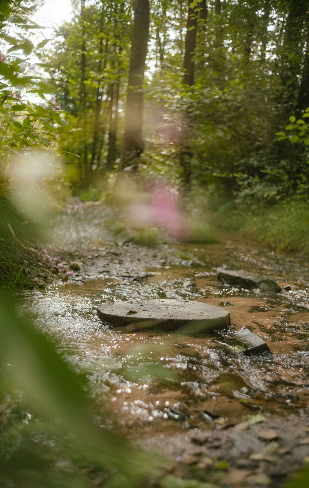 Natur im Bergischen Land