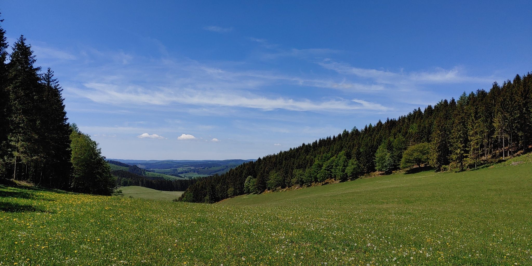 Rotmilan-Höhenweg