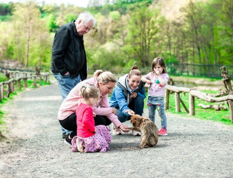 Die Gäste kommen den Tieren im Affen- und Vogelpark Eckenhagen ganz nah