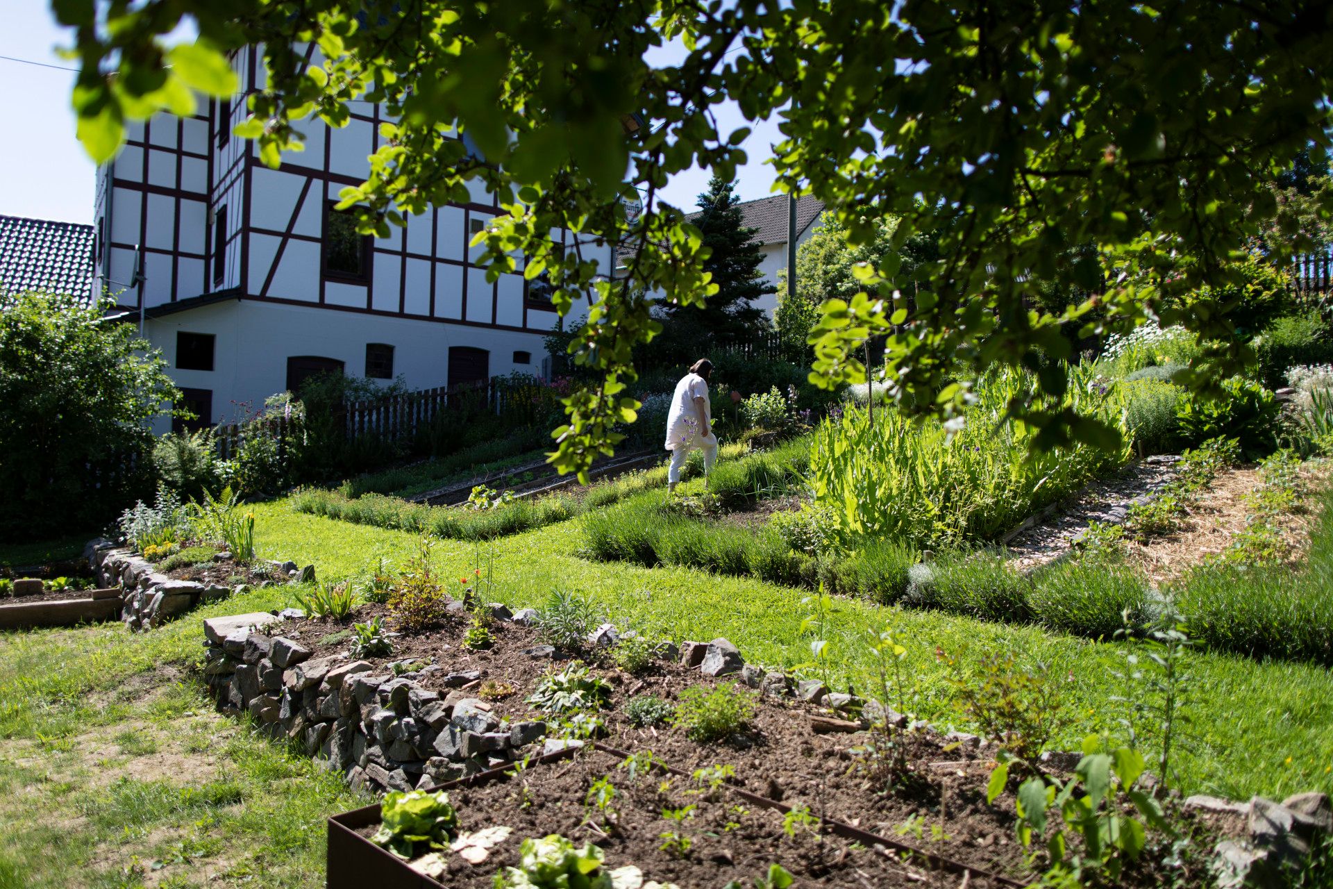 Garten vor Fachwerkhaus, Bergisches Land